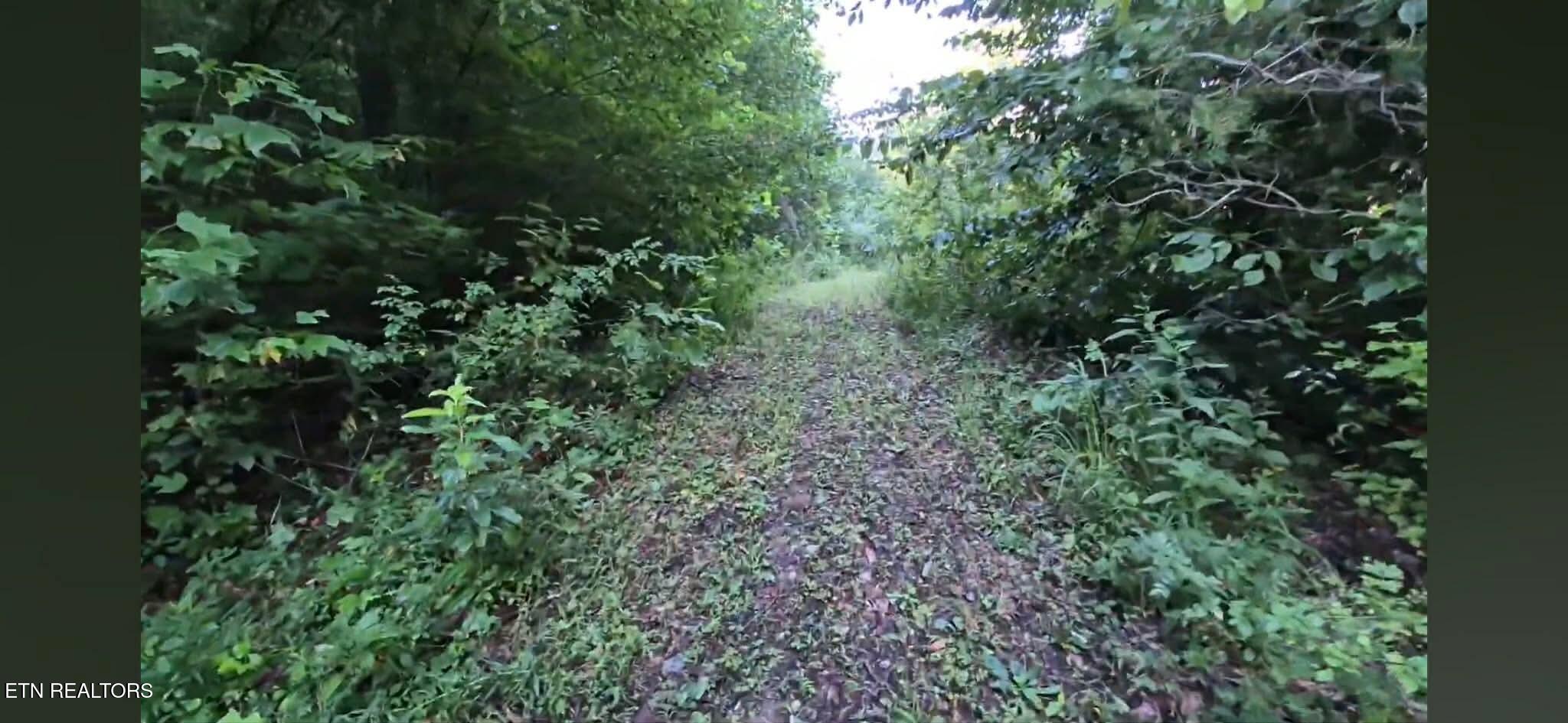 216 Lower Capuchin Road Winfield TN 37892