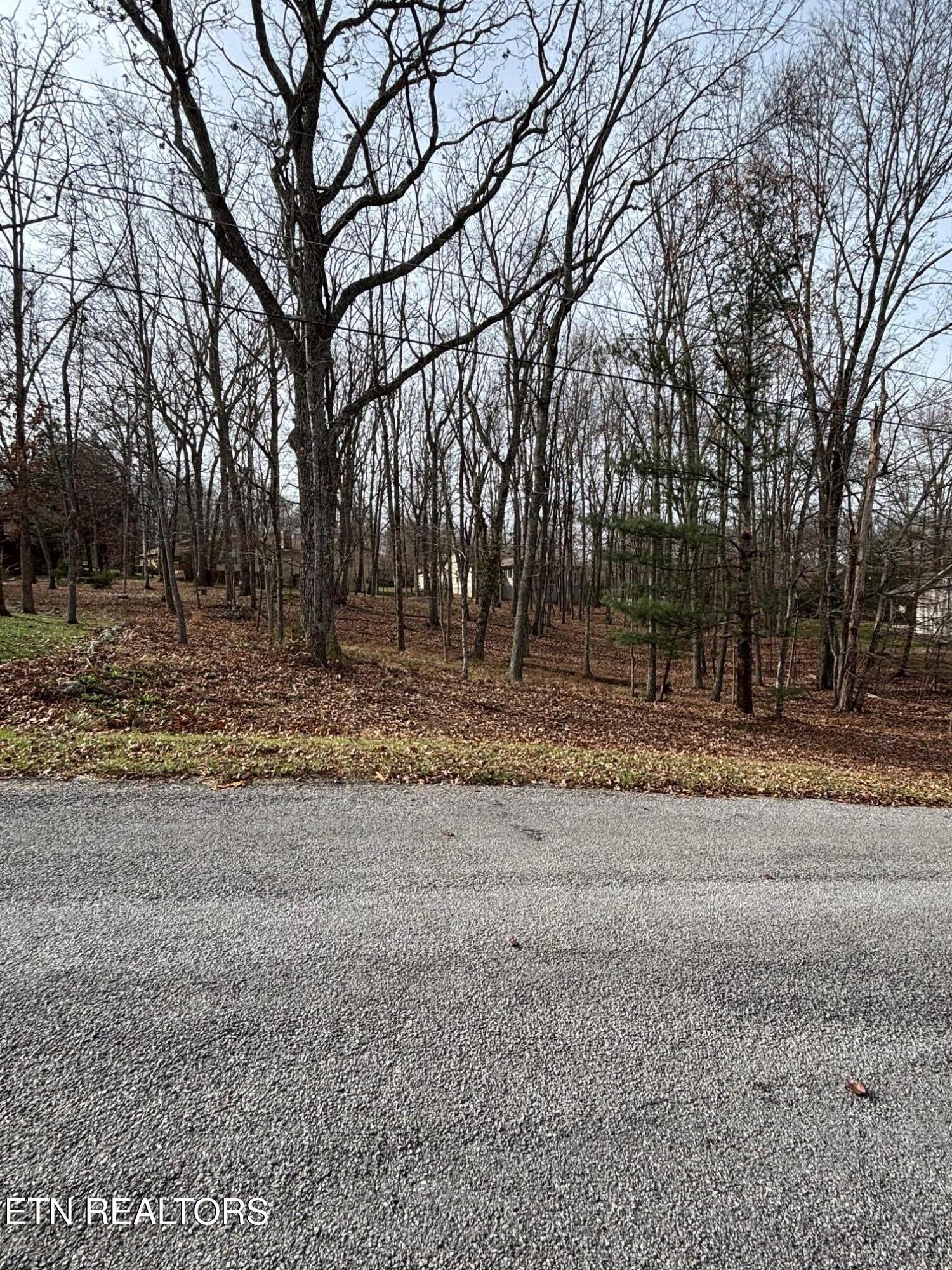 43 Havenridge Place Crossville TN 38558