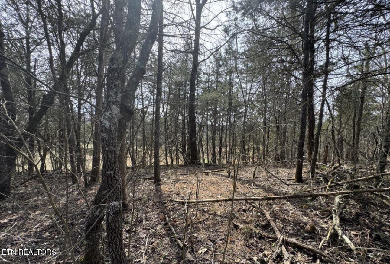 Bear Creek Road Off Road Bybee TN 37713