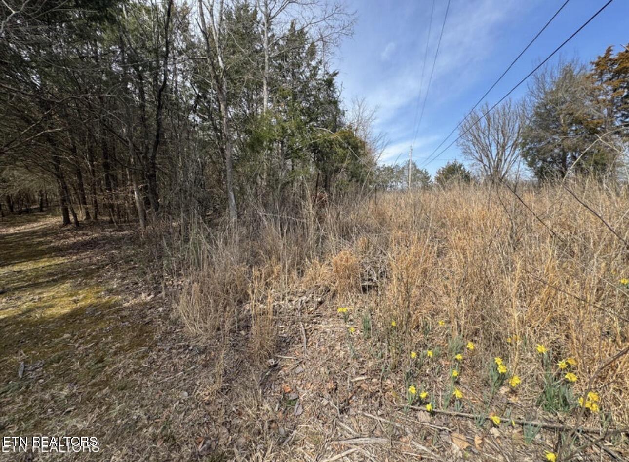 Bear Creek Road Off Road Bybee TN 37713
