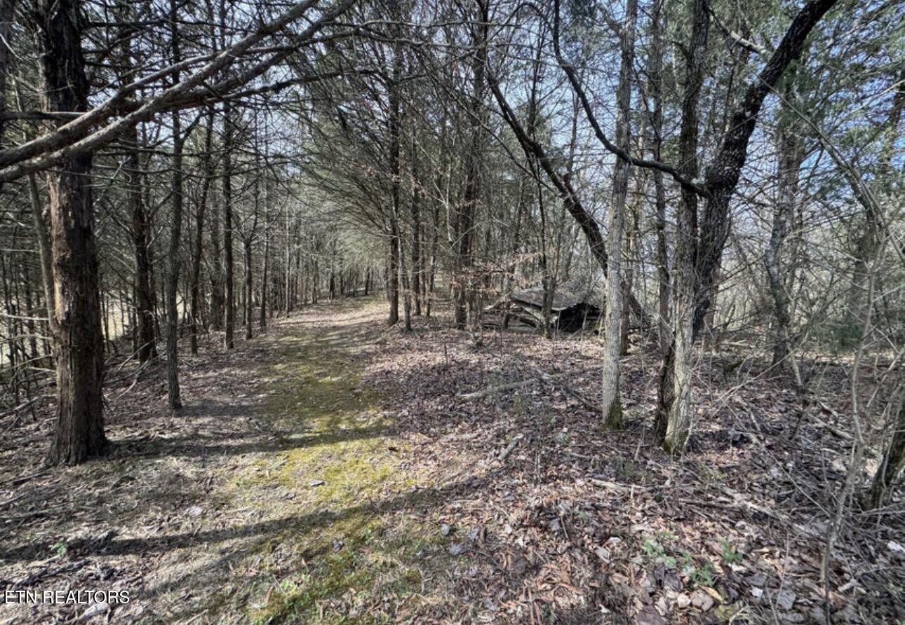 Bear Creek Road Off Road Bybee TN 37713