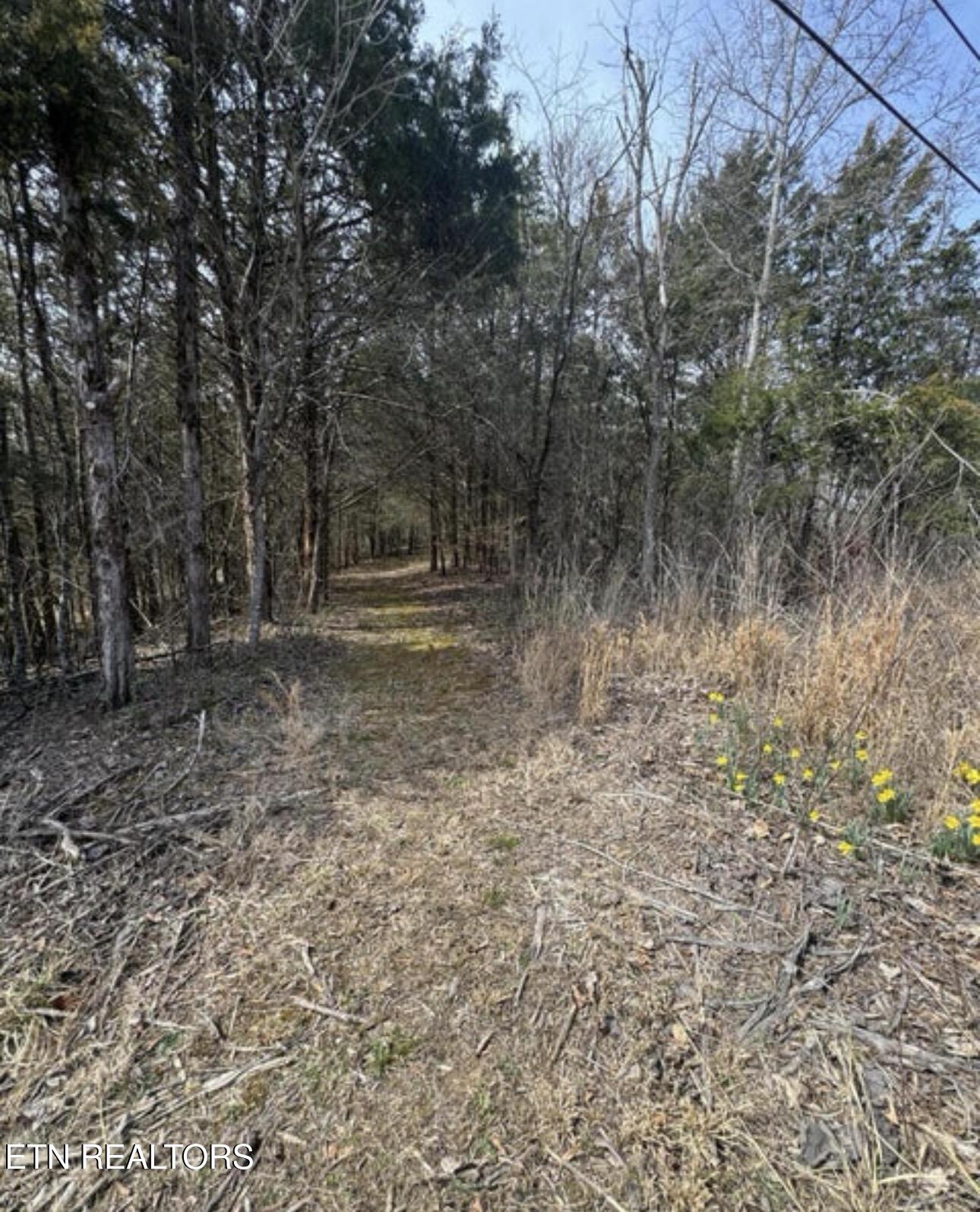 Bear Creek Road Off Road Bybee TN 37713