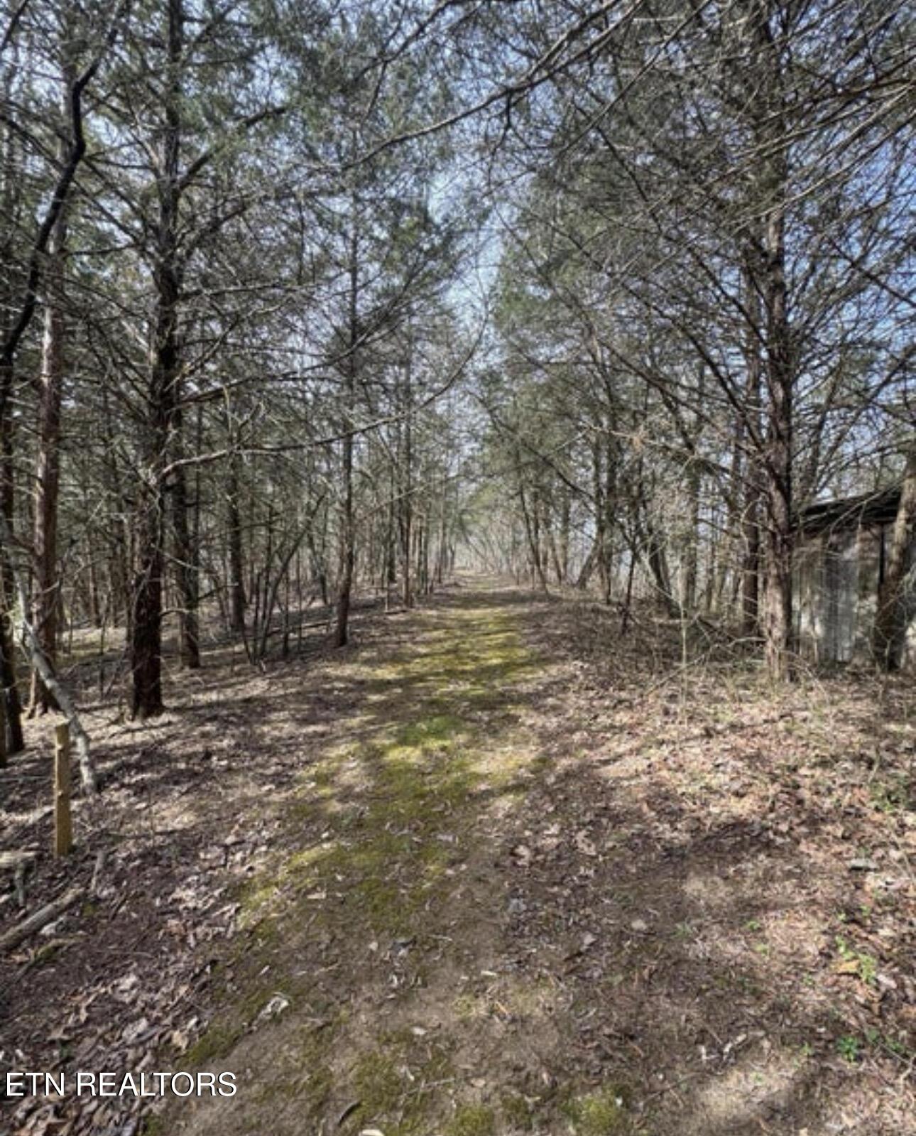 Bear Creek Road Off Road Bybee TN 37713