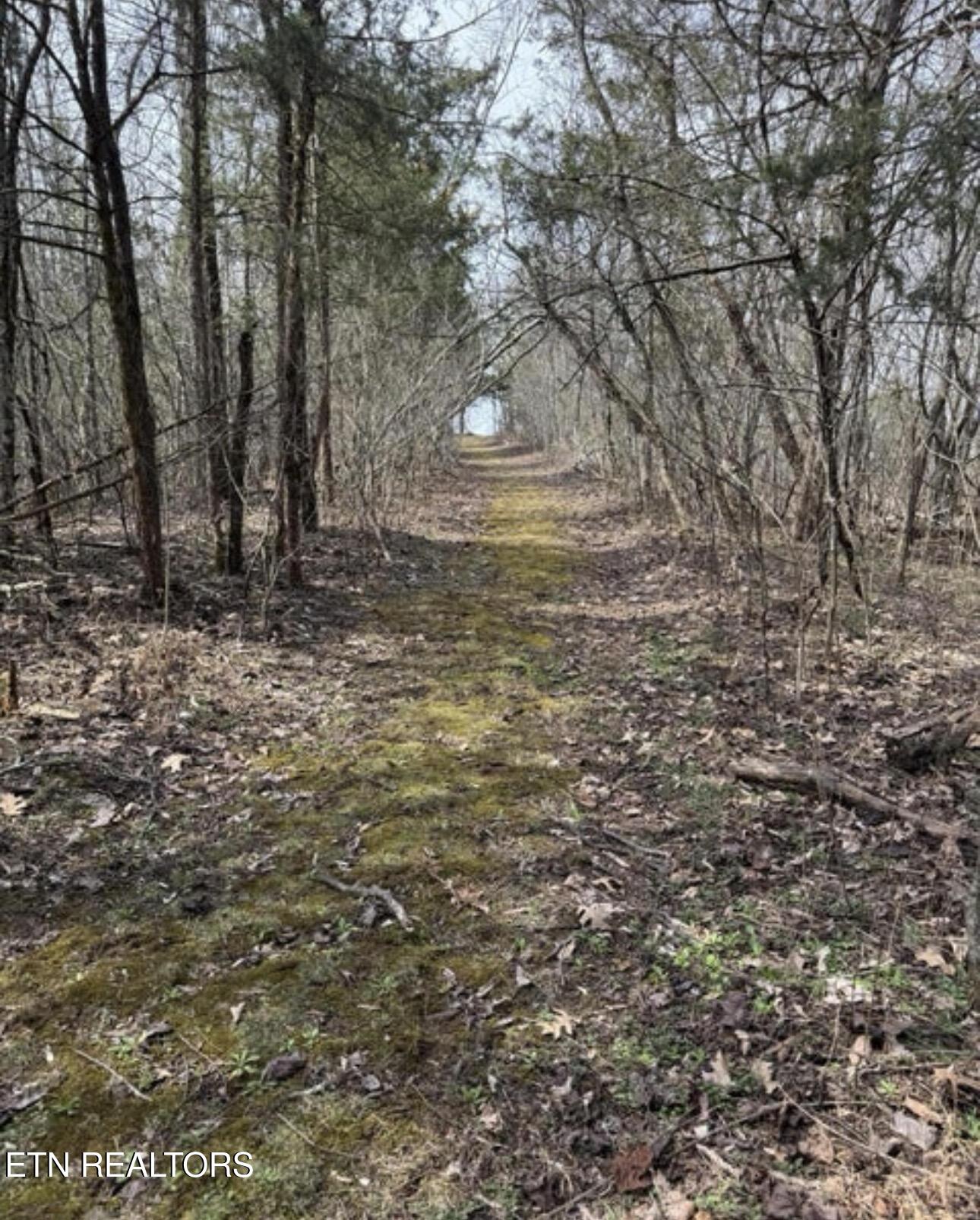 Bear Creek Road Off Road Bybee TN 37713