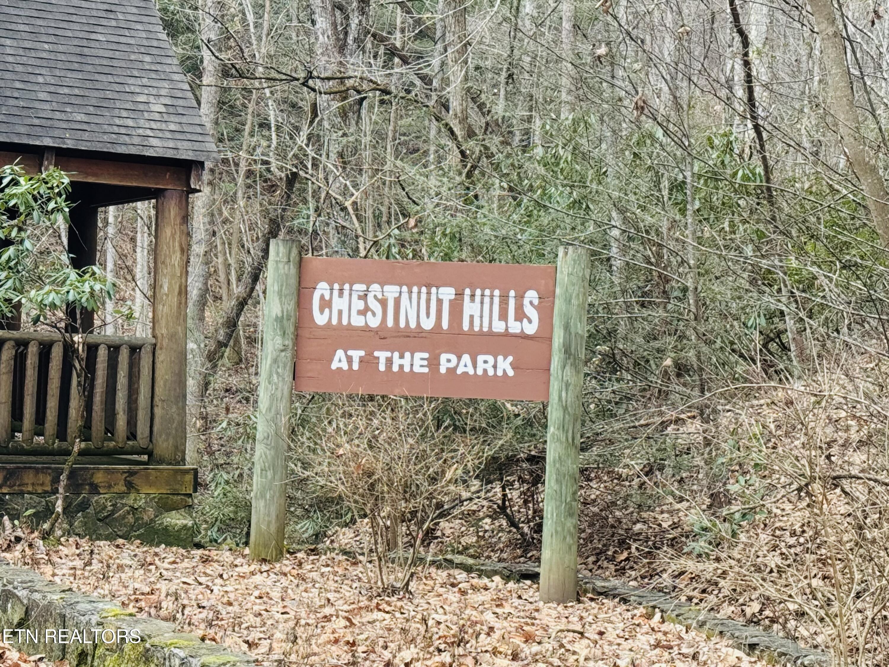 Hikers Path Lane Sevierville TN 37862