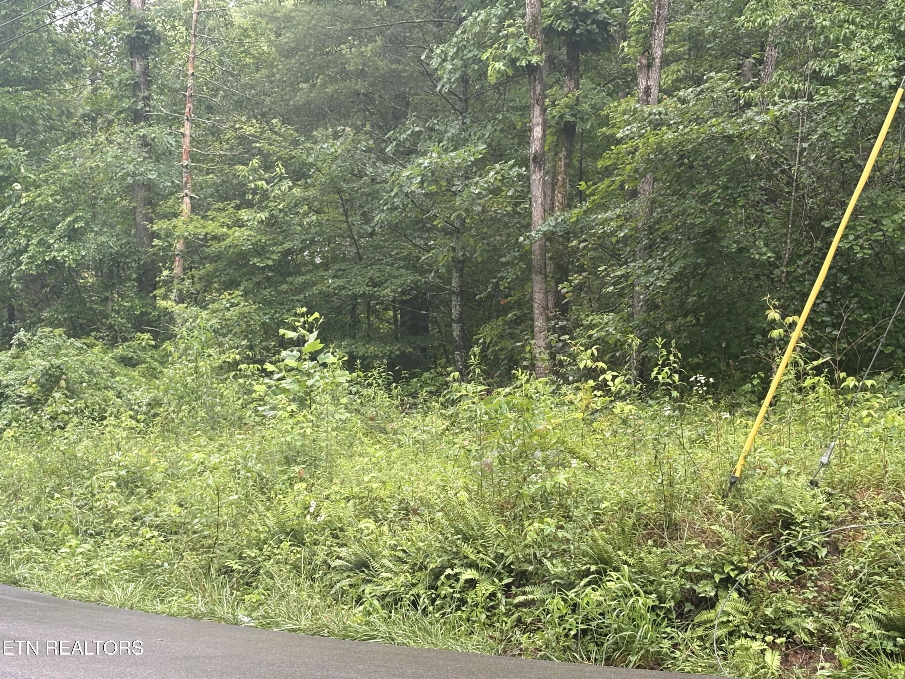 Brown Creek Drive Crossville TN 38571