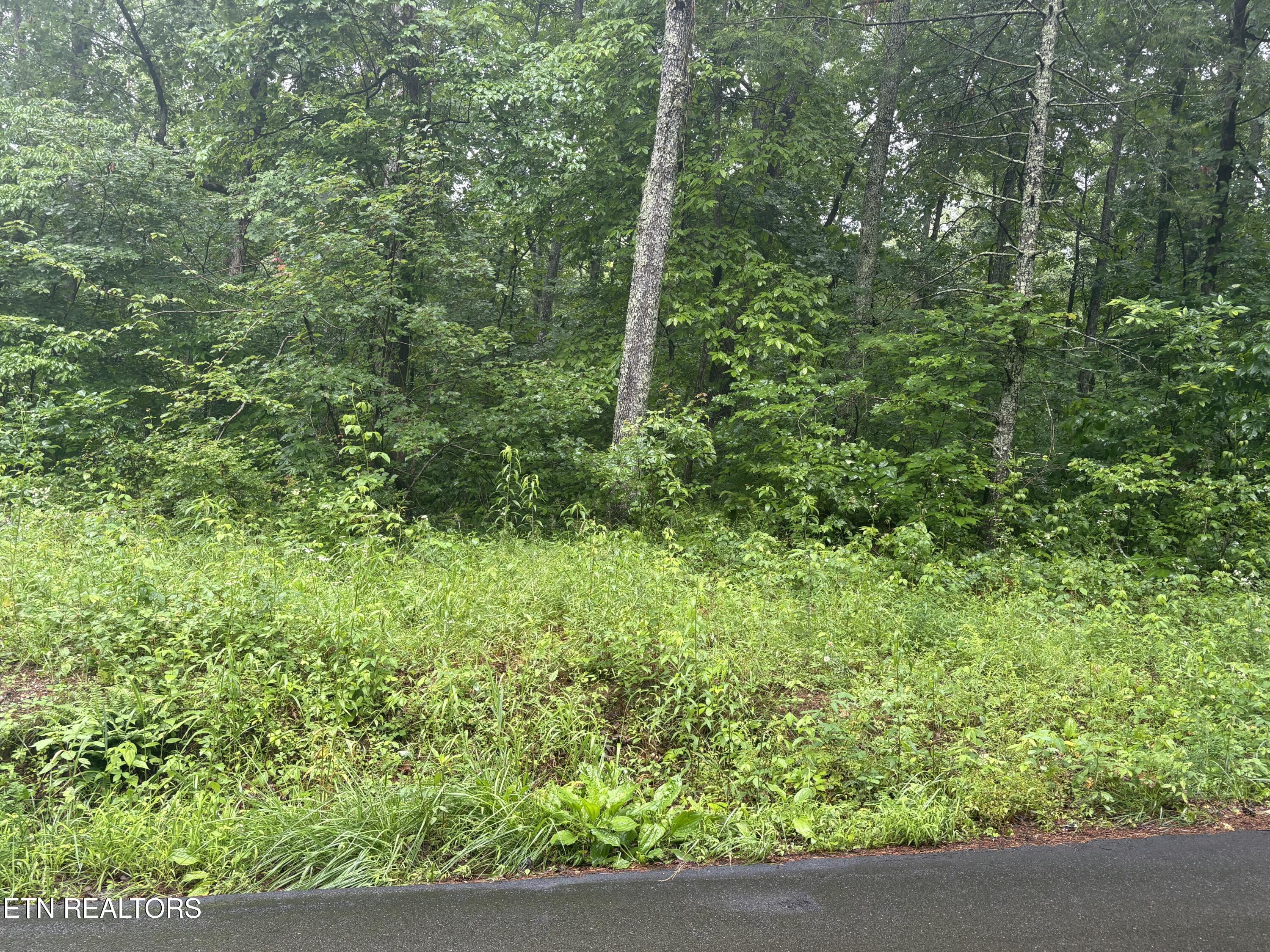 Brown Creek Drive Crossville TN 38571