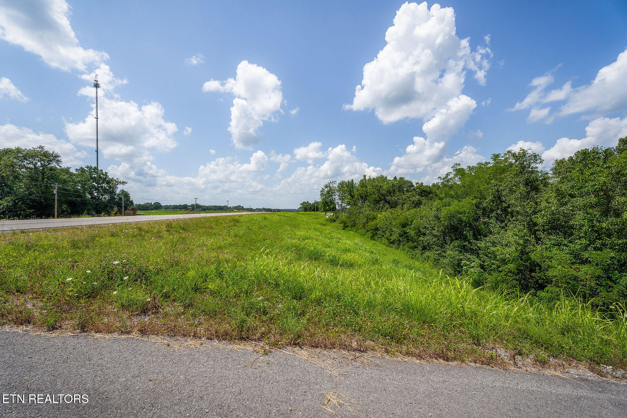 0 Highway 56 Smithville TN 37166