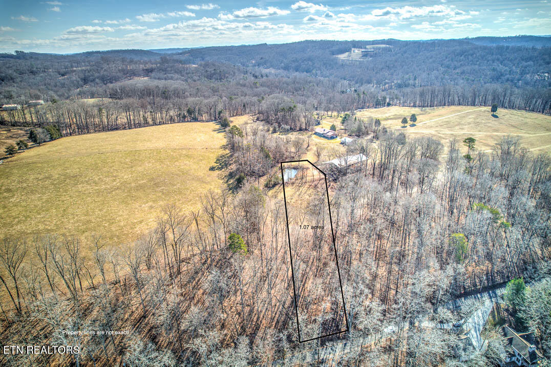 Hagaman Road Andersonville TN 37705