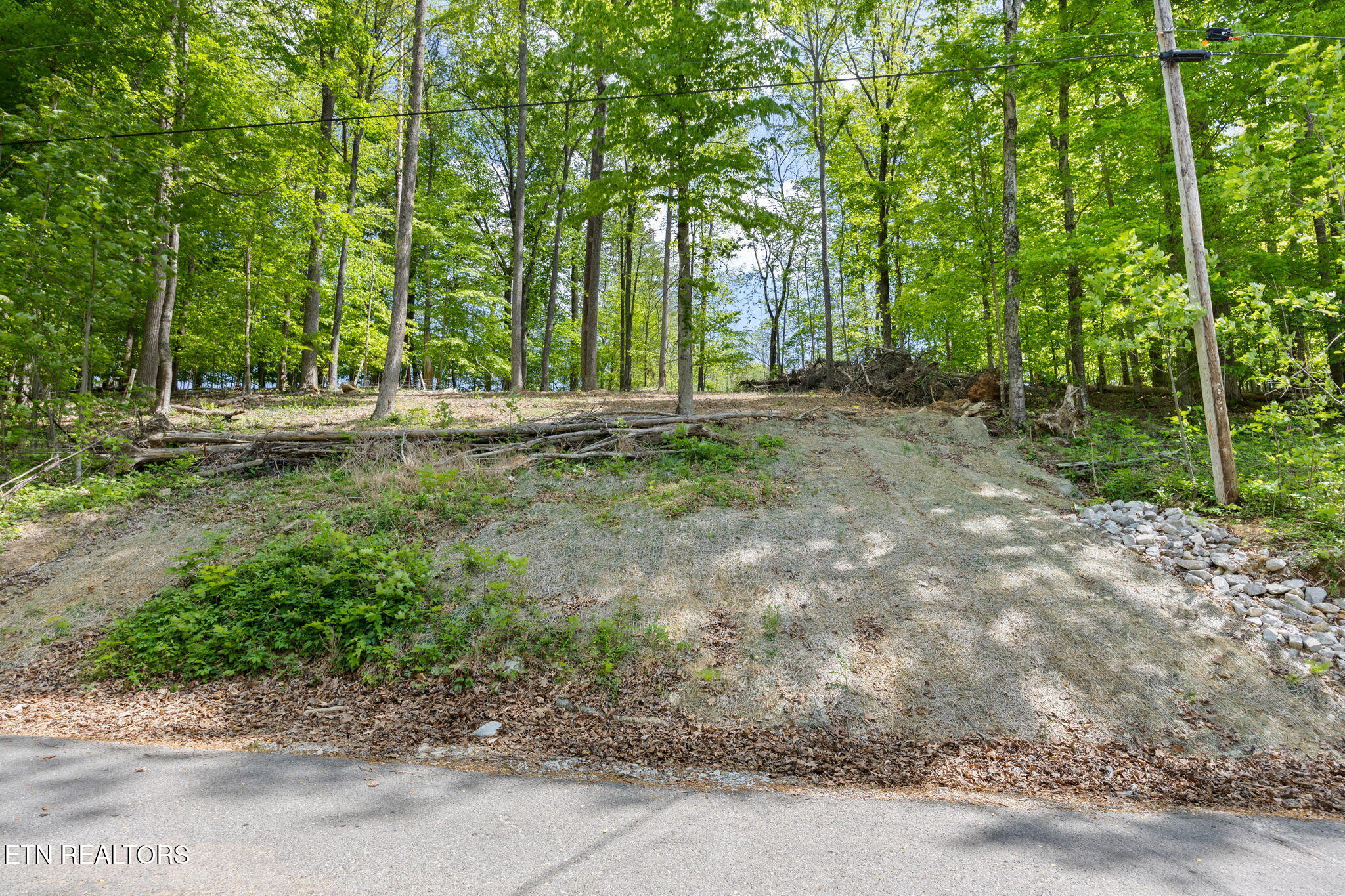 Hagaman Road Andersonville TN 37705