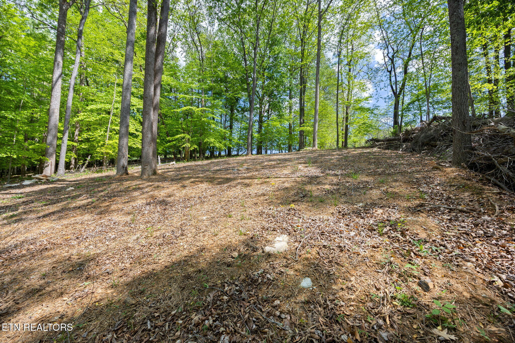 Hagaman Road Andersonville TN 37705