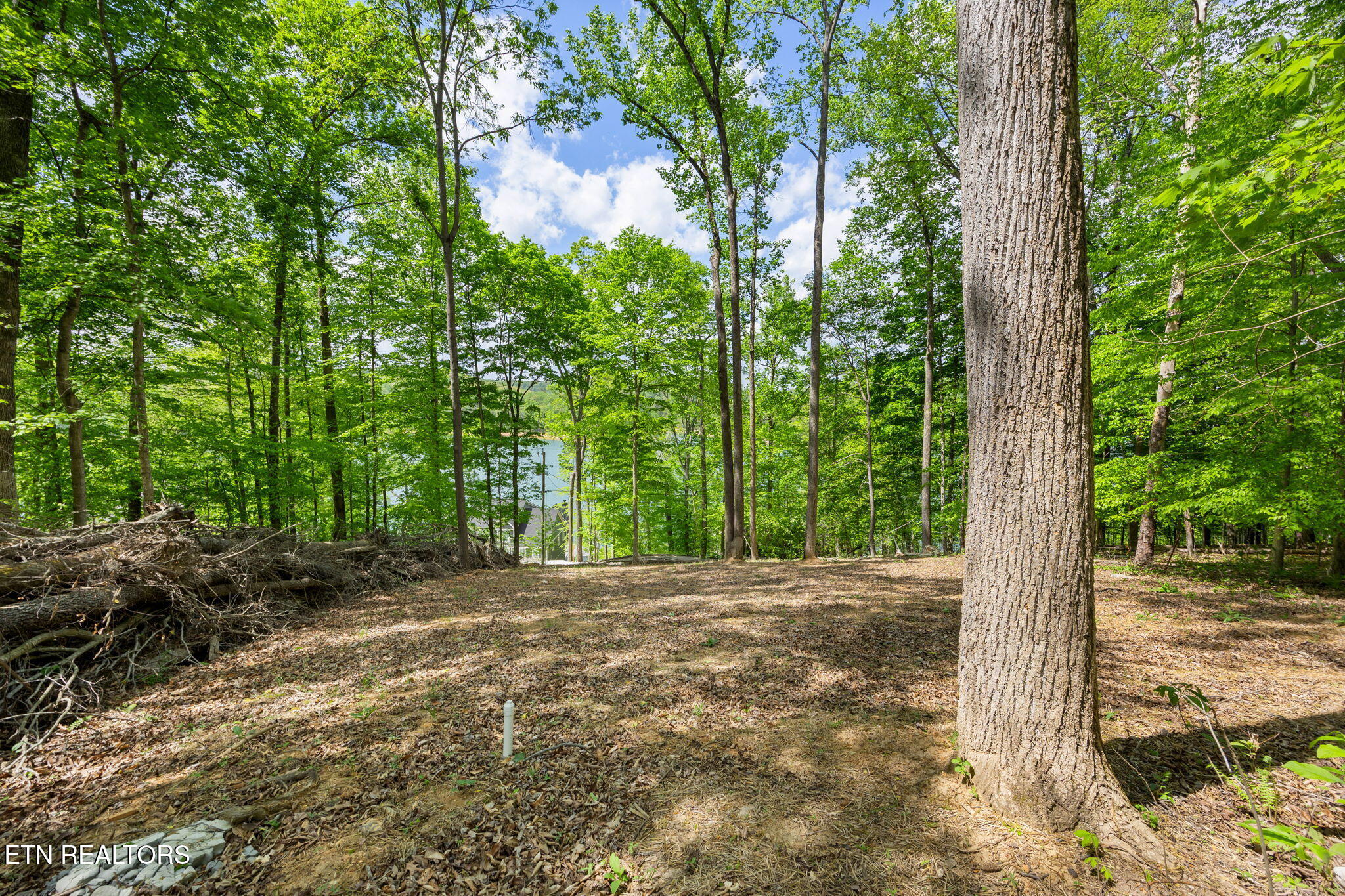 Hagaman Road Andersonville TN 37705