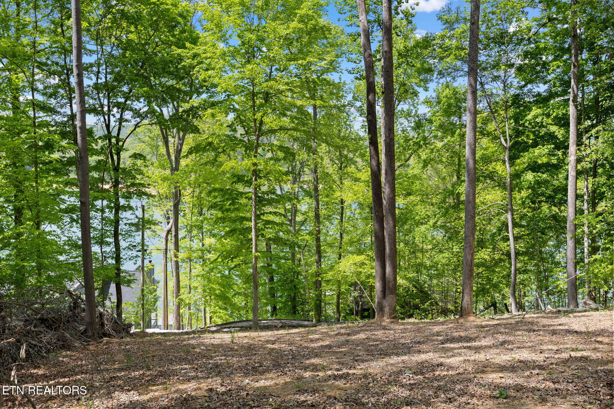 Hagaman Road Andersonville TN 37705