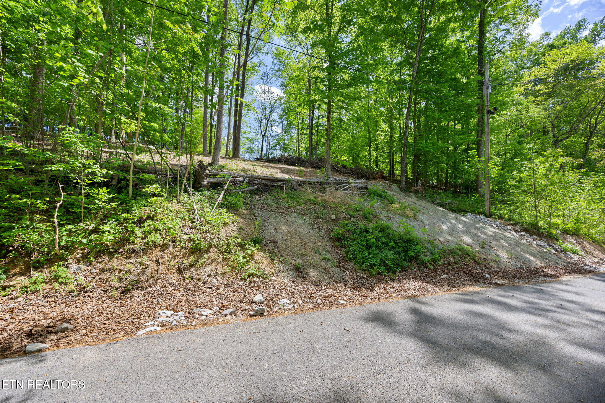Hagaman Road Andersonville TN 37705