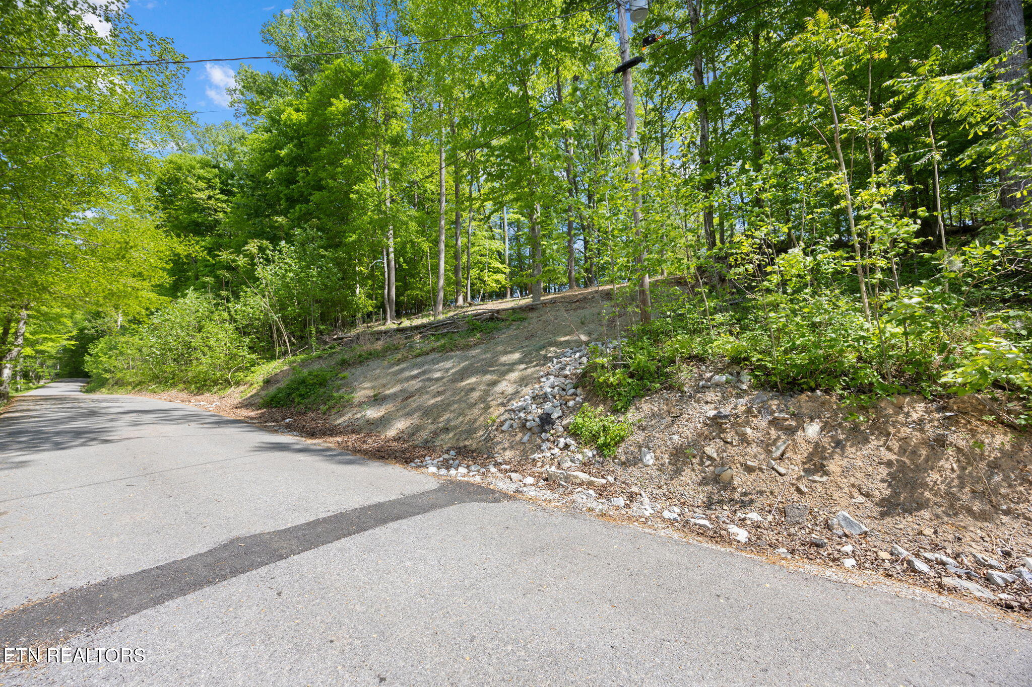 Hagaman Road Andersonville TN 37705