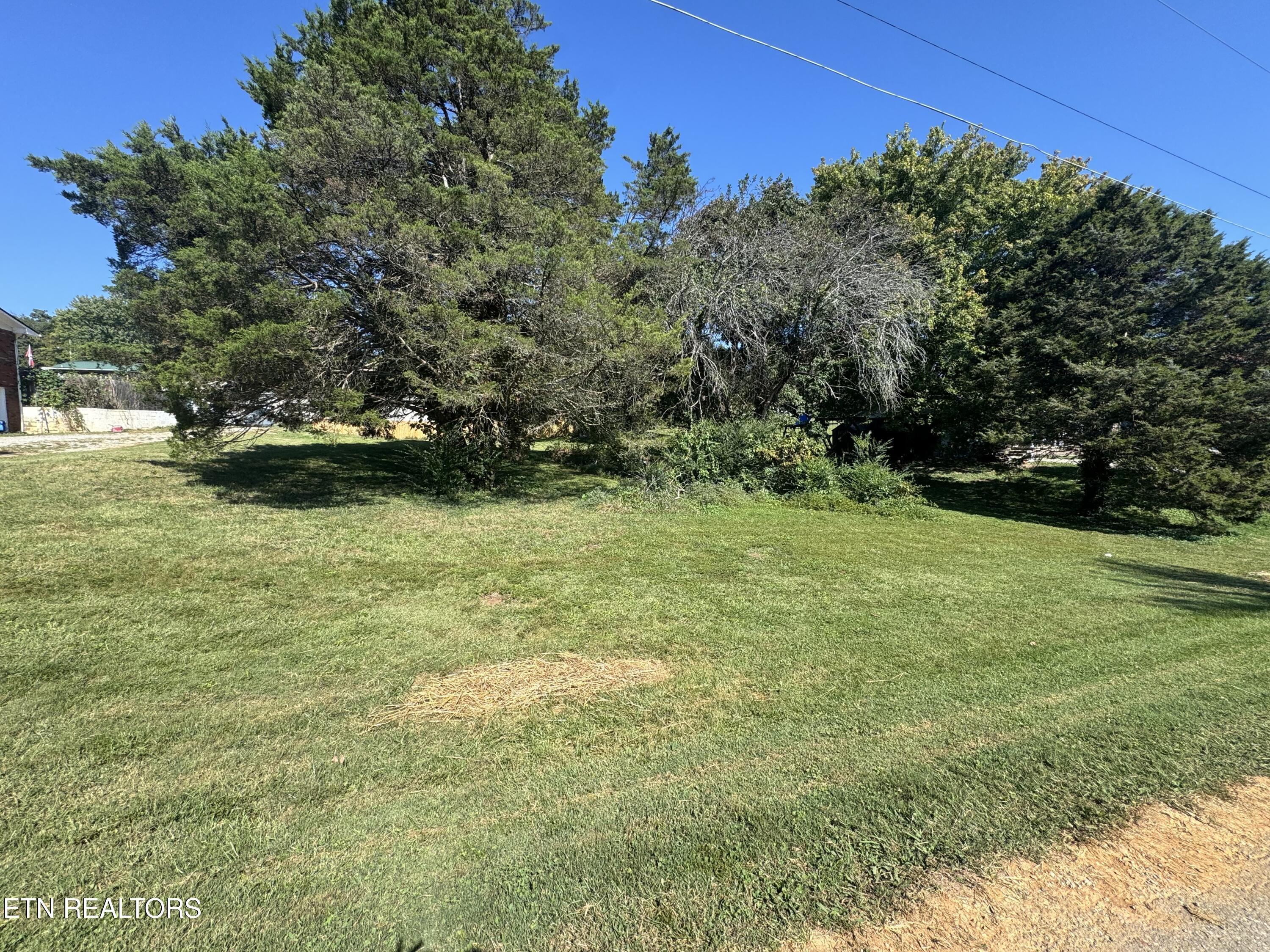 0 Clinch View Drive Plainview TN 37721
