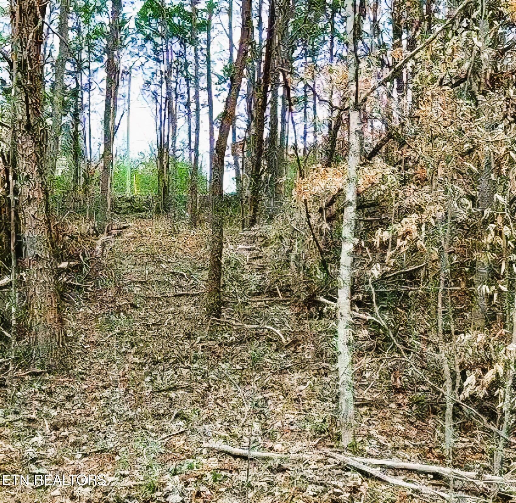 Lot 17 Scott Street Sevierville TN 37876