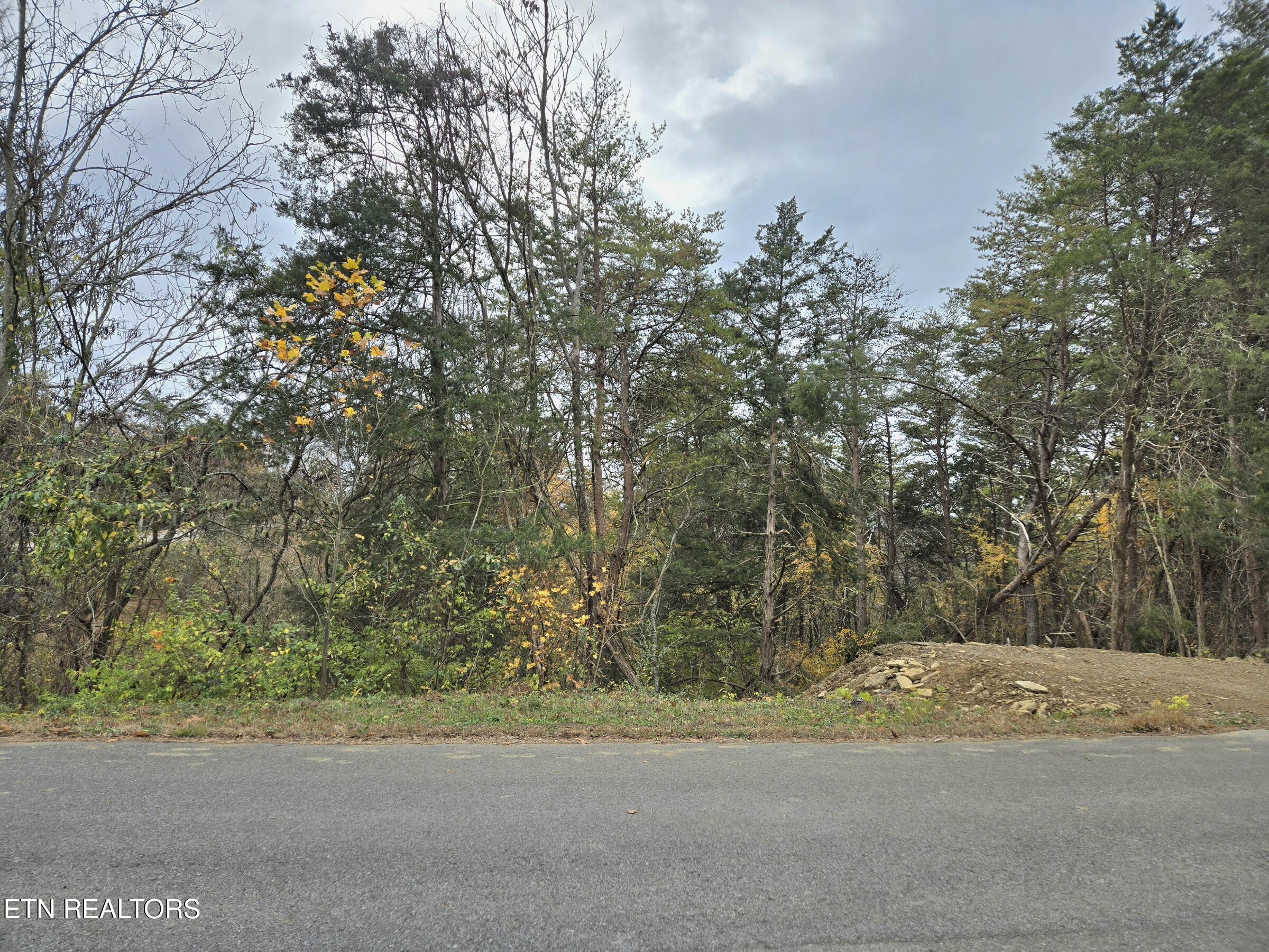 Lot 17 Scott Street Sevierville TN 37876