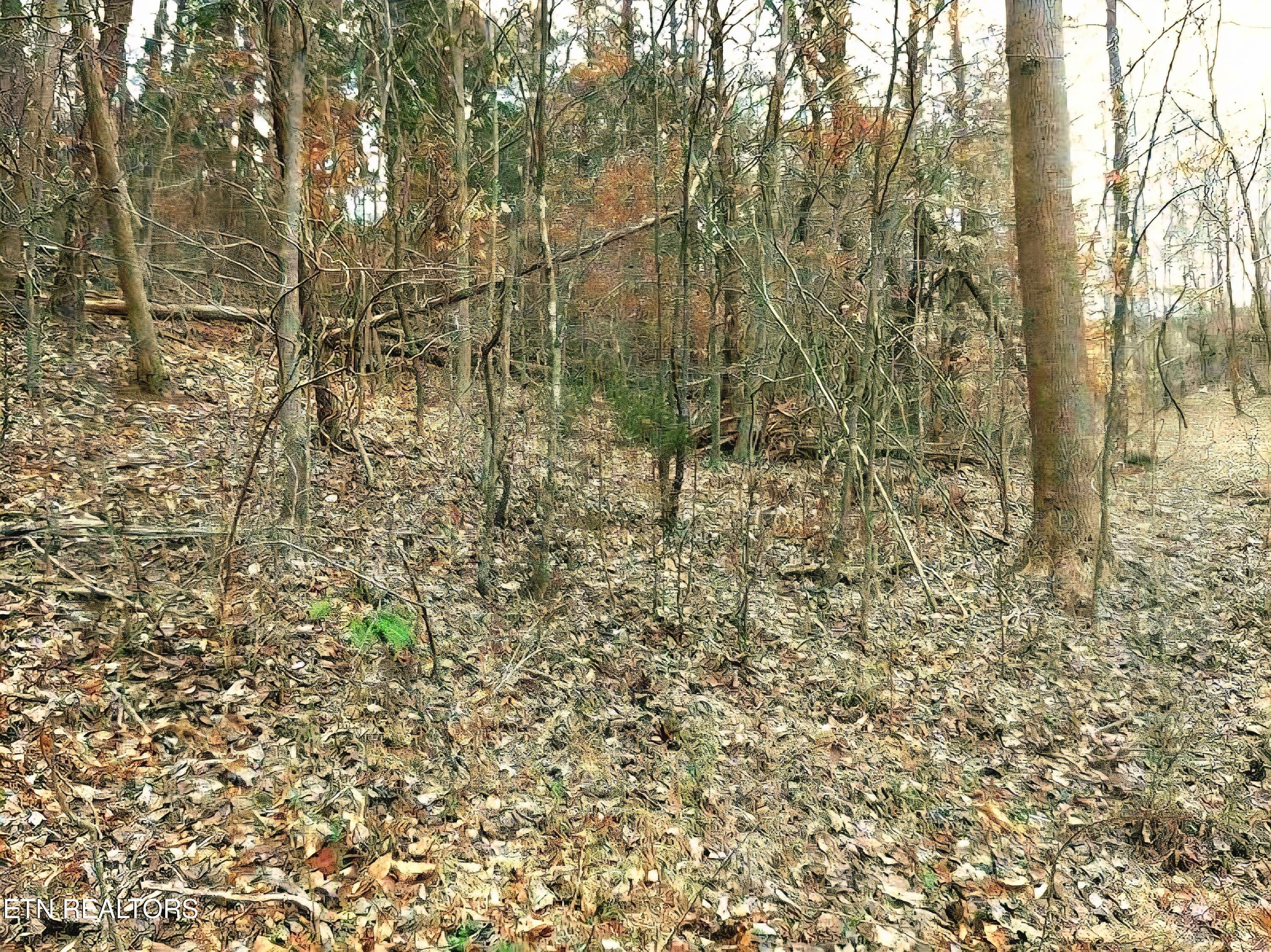 Lot 17 Scott Street Sevierville TN 37876