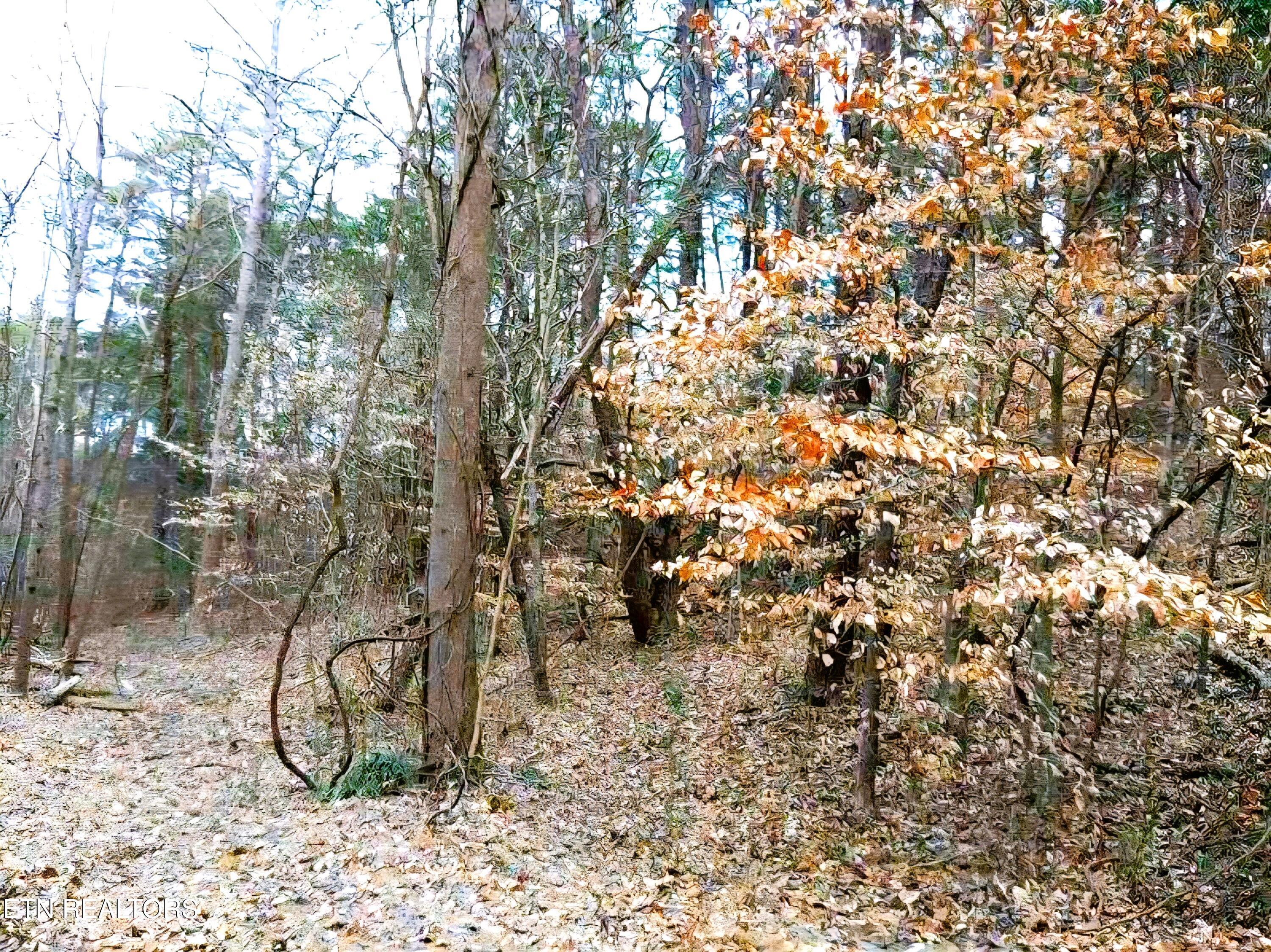 Lot 17 Scott Street Sevierville TN 37876