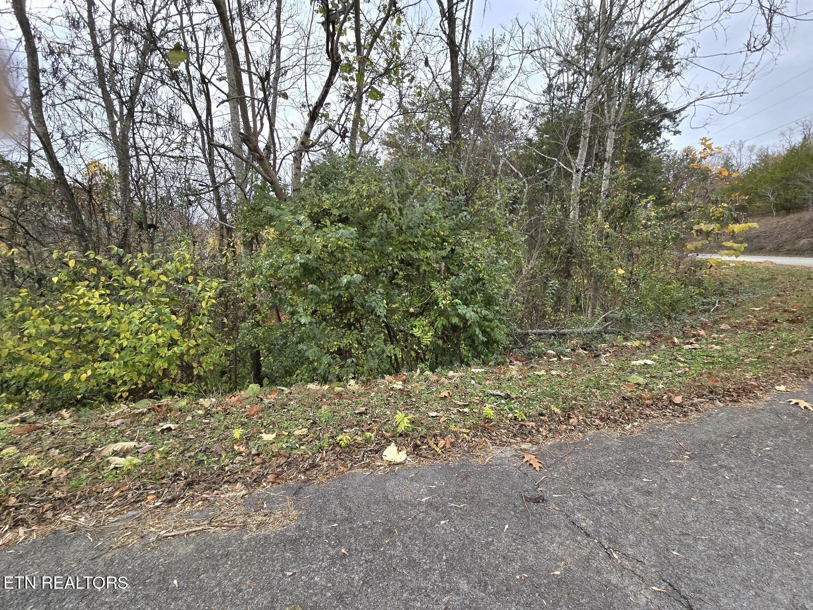 Lot 17 Scott Street Sevierville TN 37876
