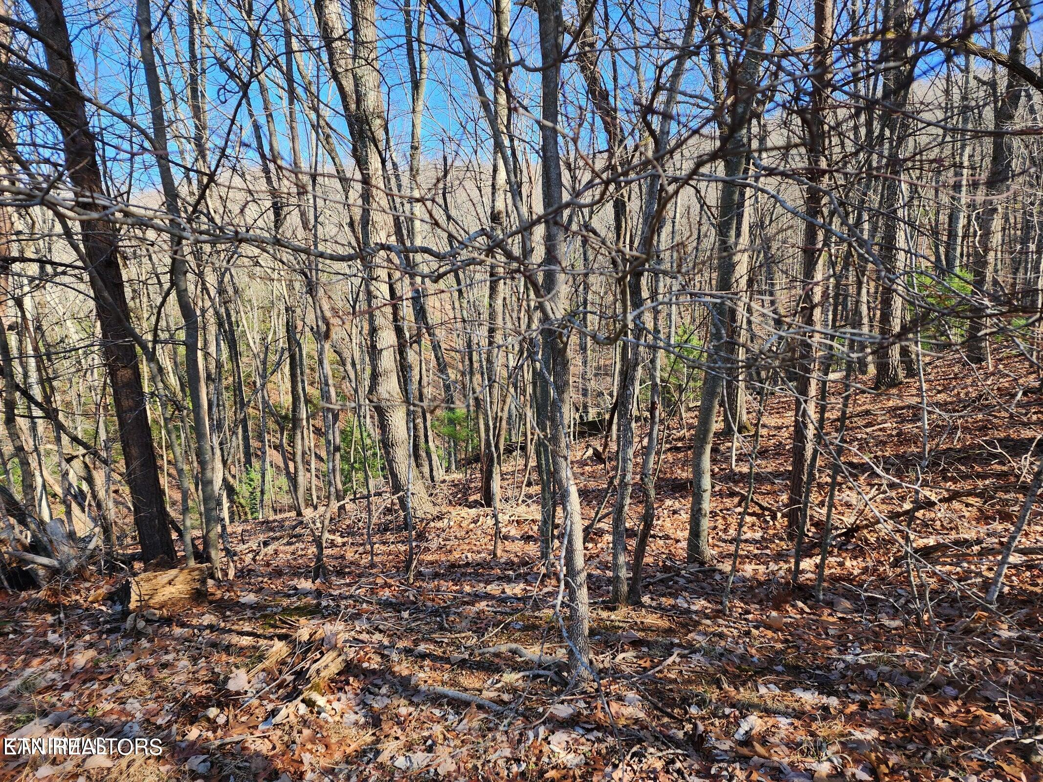 56 Homberg Lane Crossville TN 38558