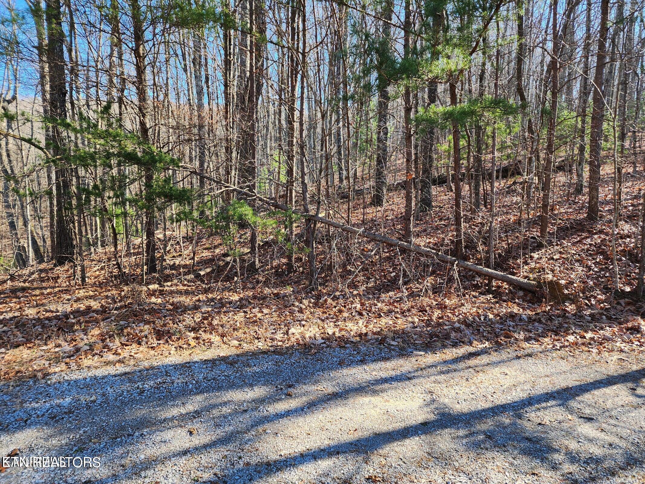56 Homberg Lane Crossville TN 38558