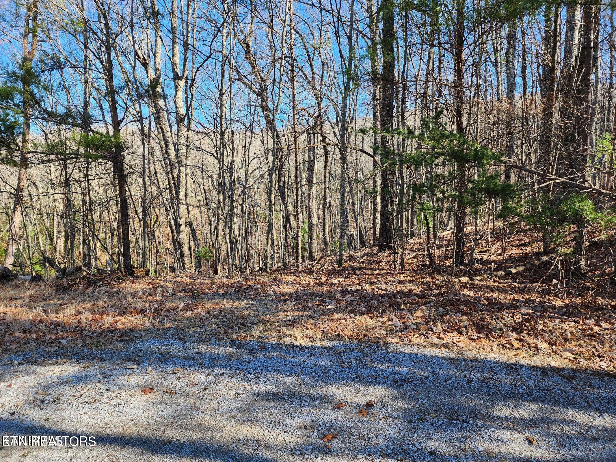 56 Homberg Lane Crossville TN 38558