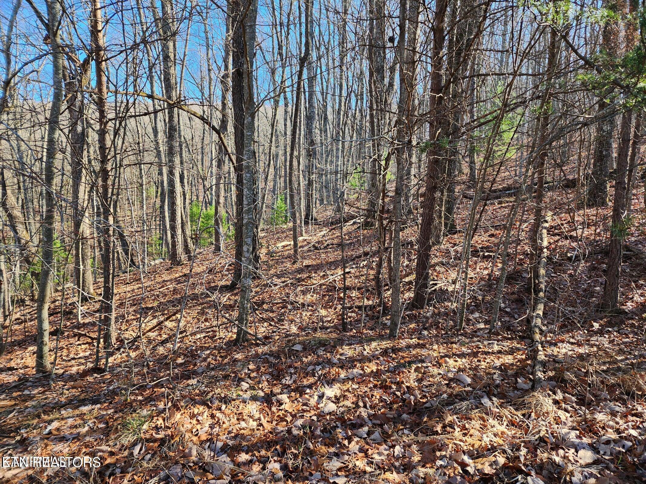 56 Homberg Lane Crossville TN 38558