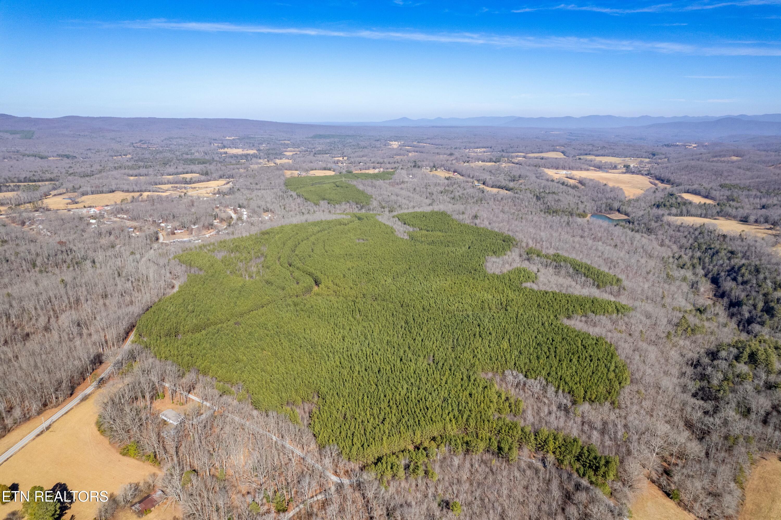 Airport Road Lot 8 Rockwood TN 37854
