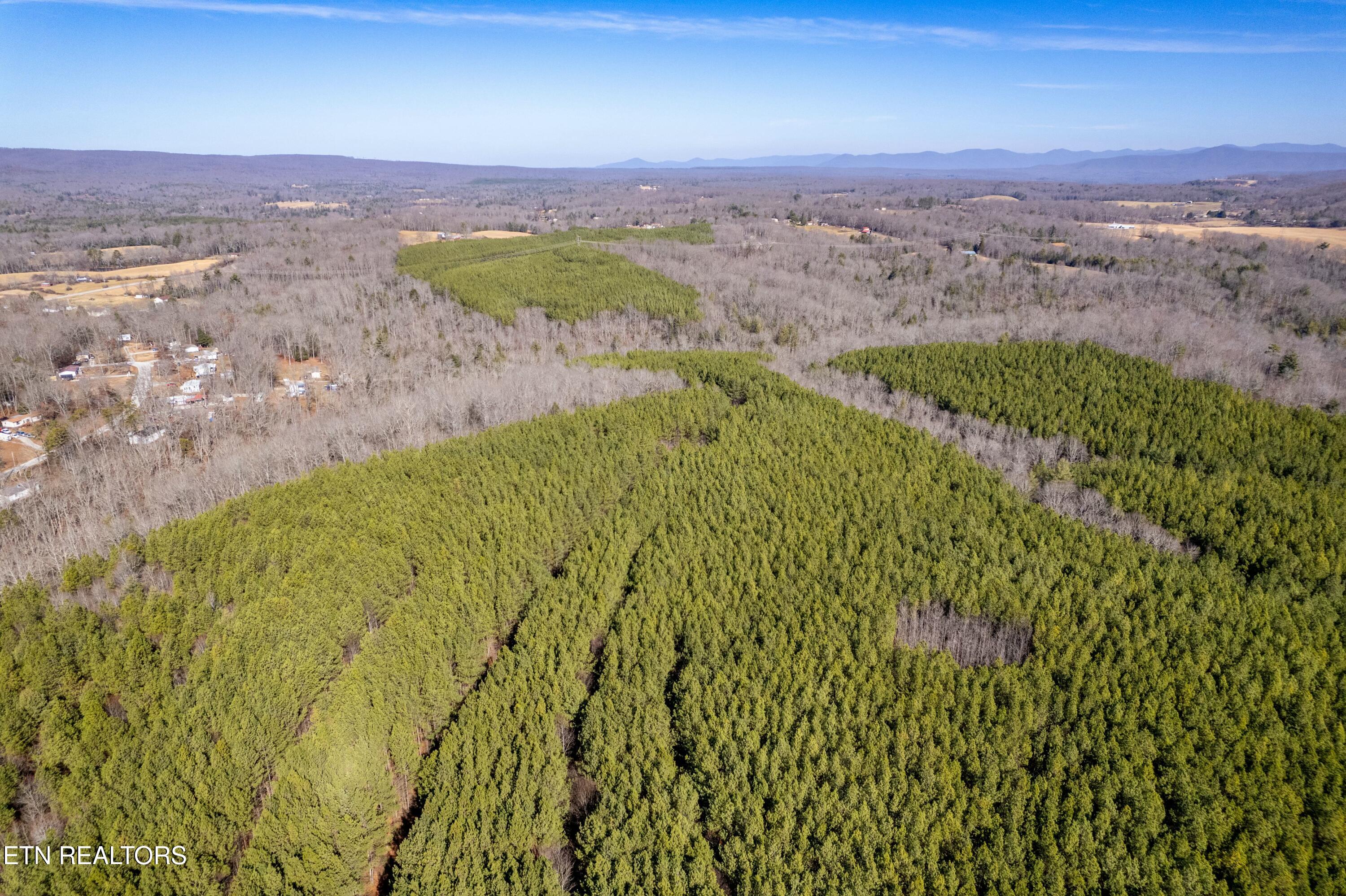 Airport Road Lot 8 Rockwood TN 37854