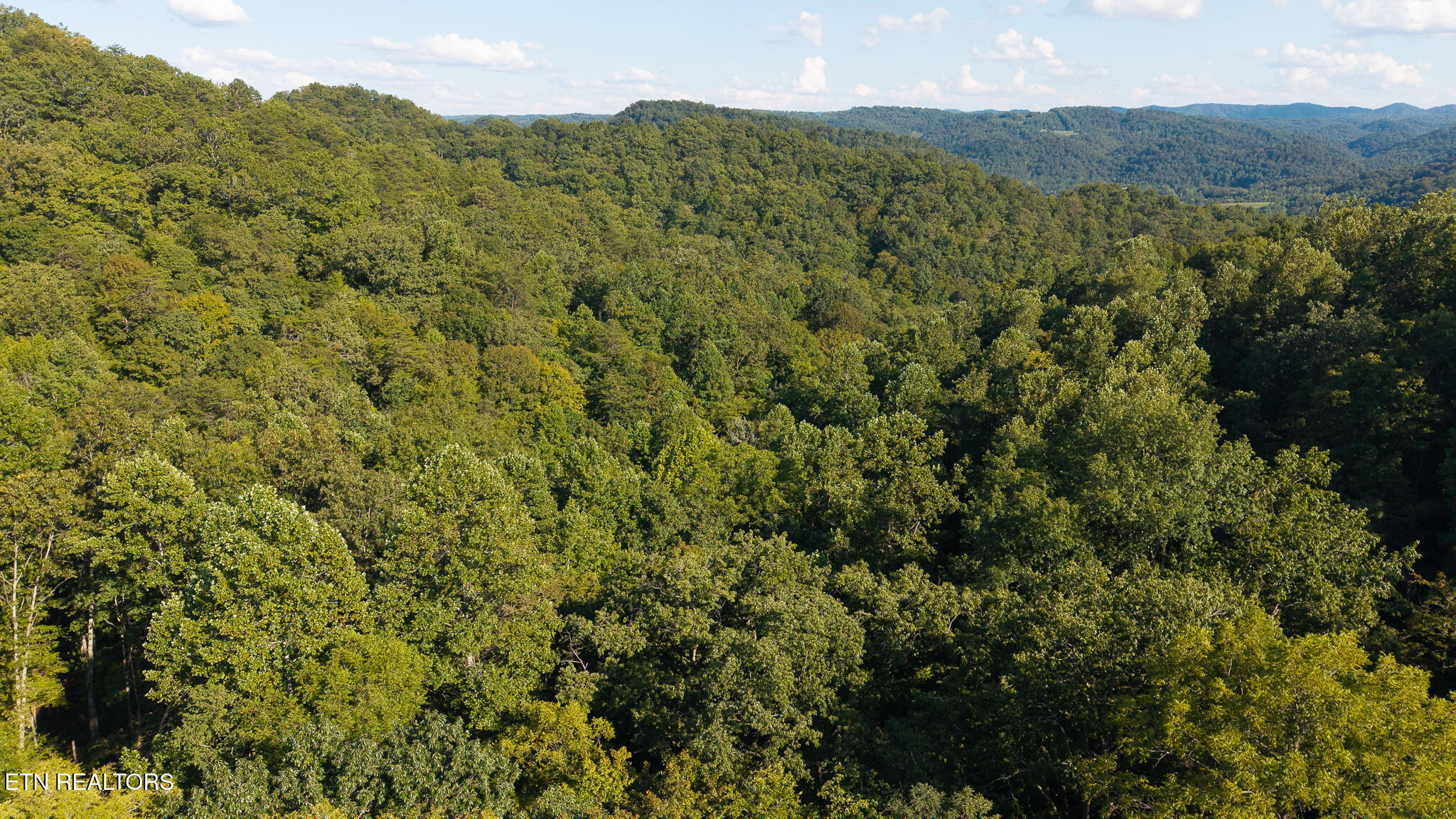 32.38 Ac Off Panther Creek Road Sneedville TN 37869