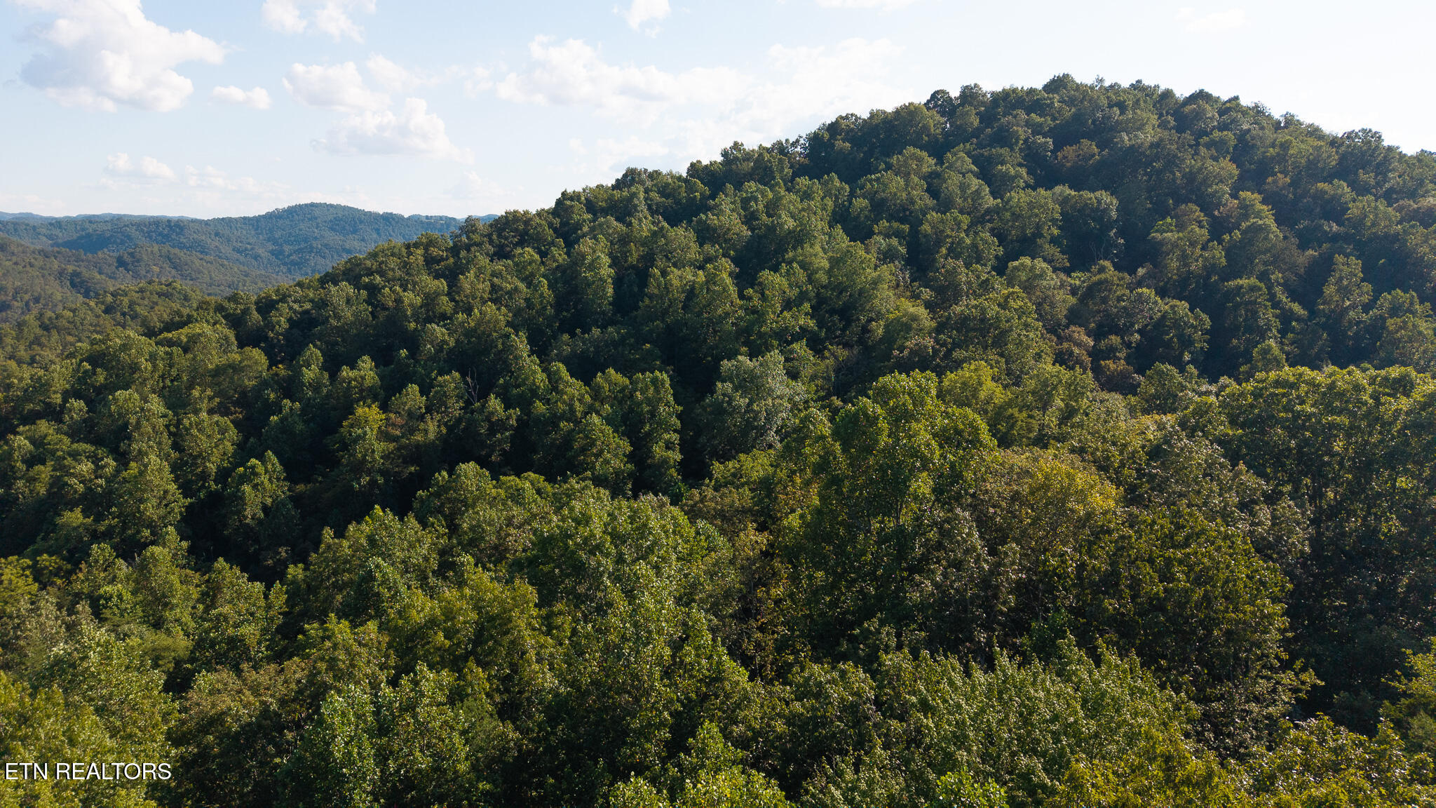 32.38 Ac Off Panther Creek Road Sneedville TN 37869