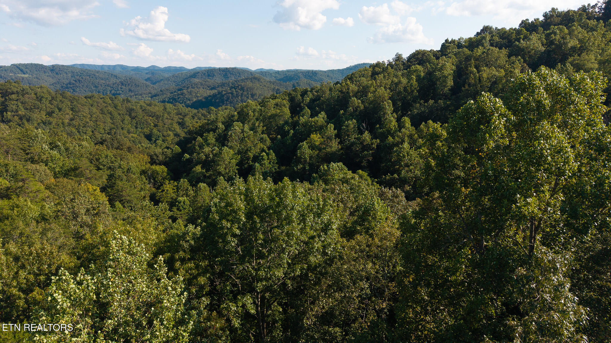 32.38 Ac Off Panther Creek Road Sneedville TN 37869
