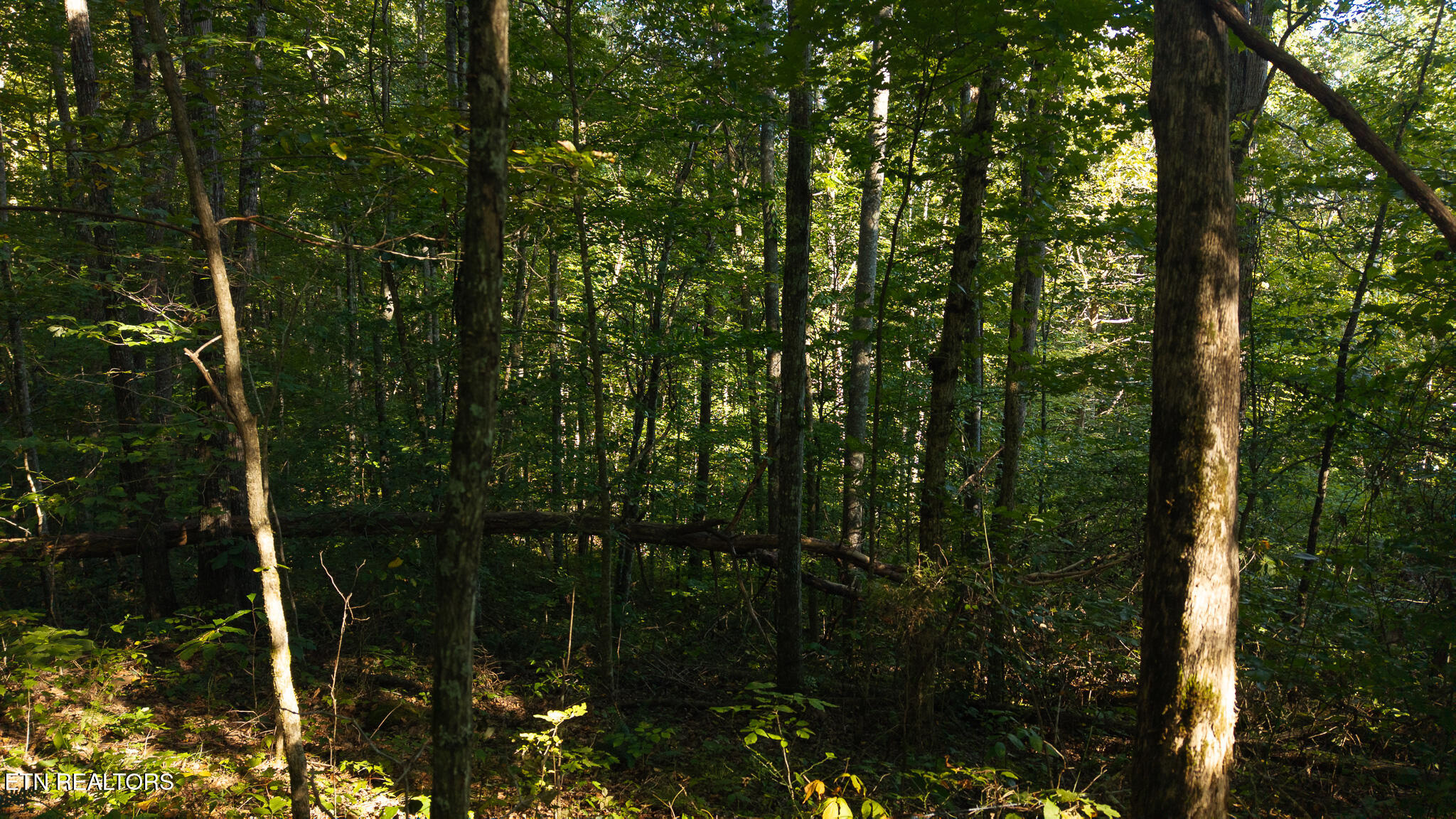 32.38 Ac Off Panther Creek Road Sneedville TN 37869