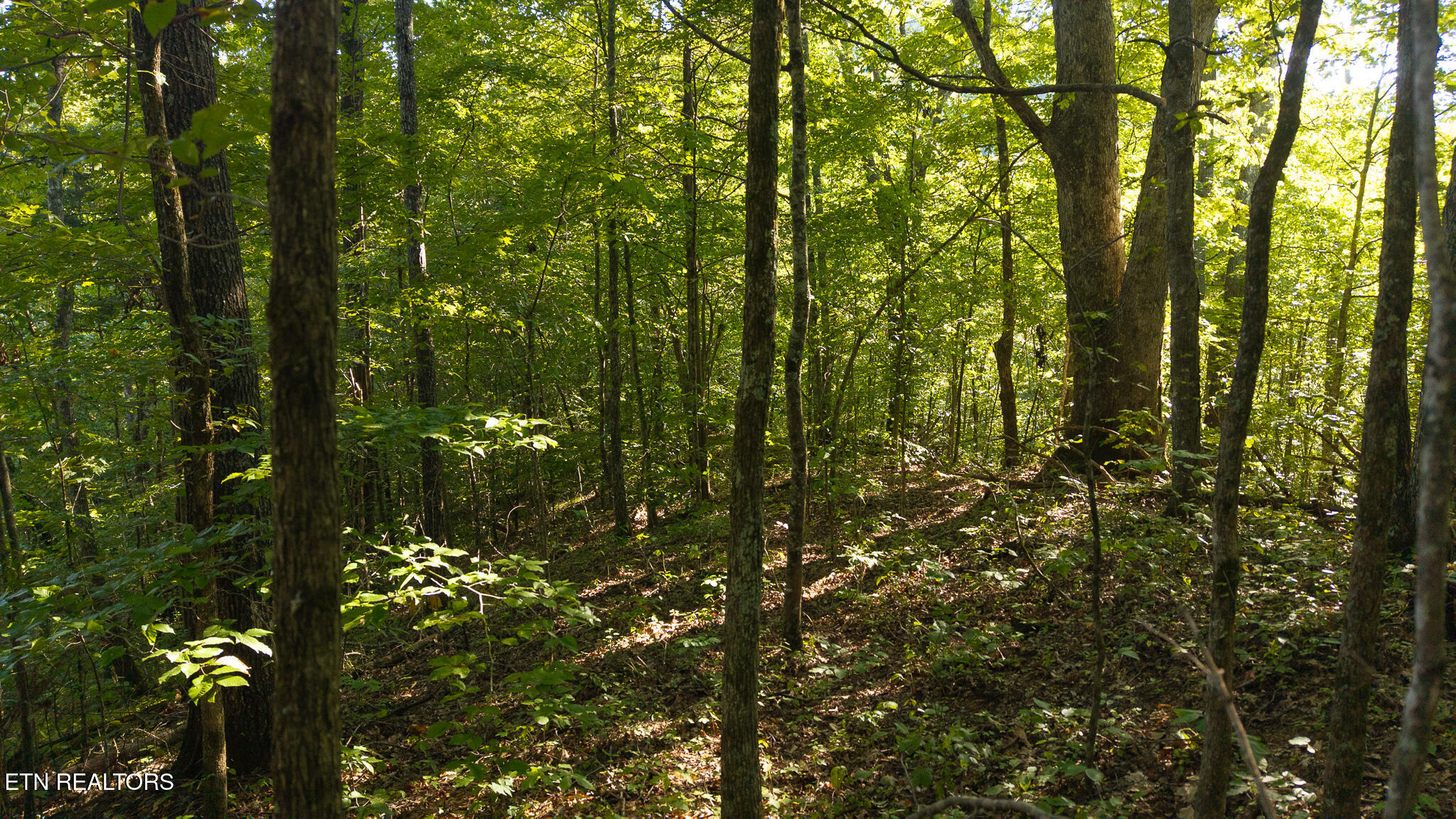 32.38 Ac Off Panther Creek Road Sneedville TN 37869