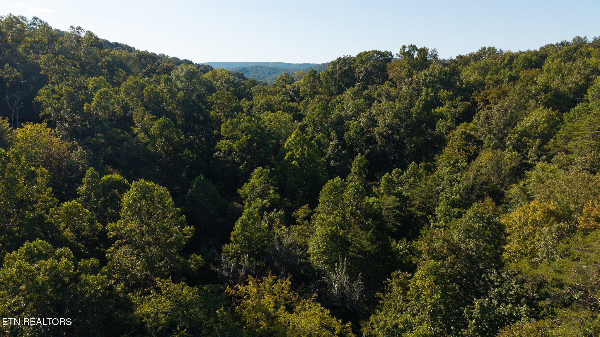 32.38 Ac Off Panther Creek Road Sneedville TN 37869