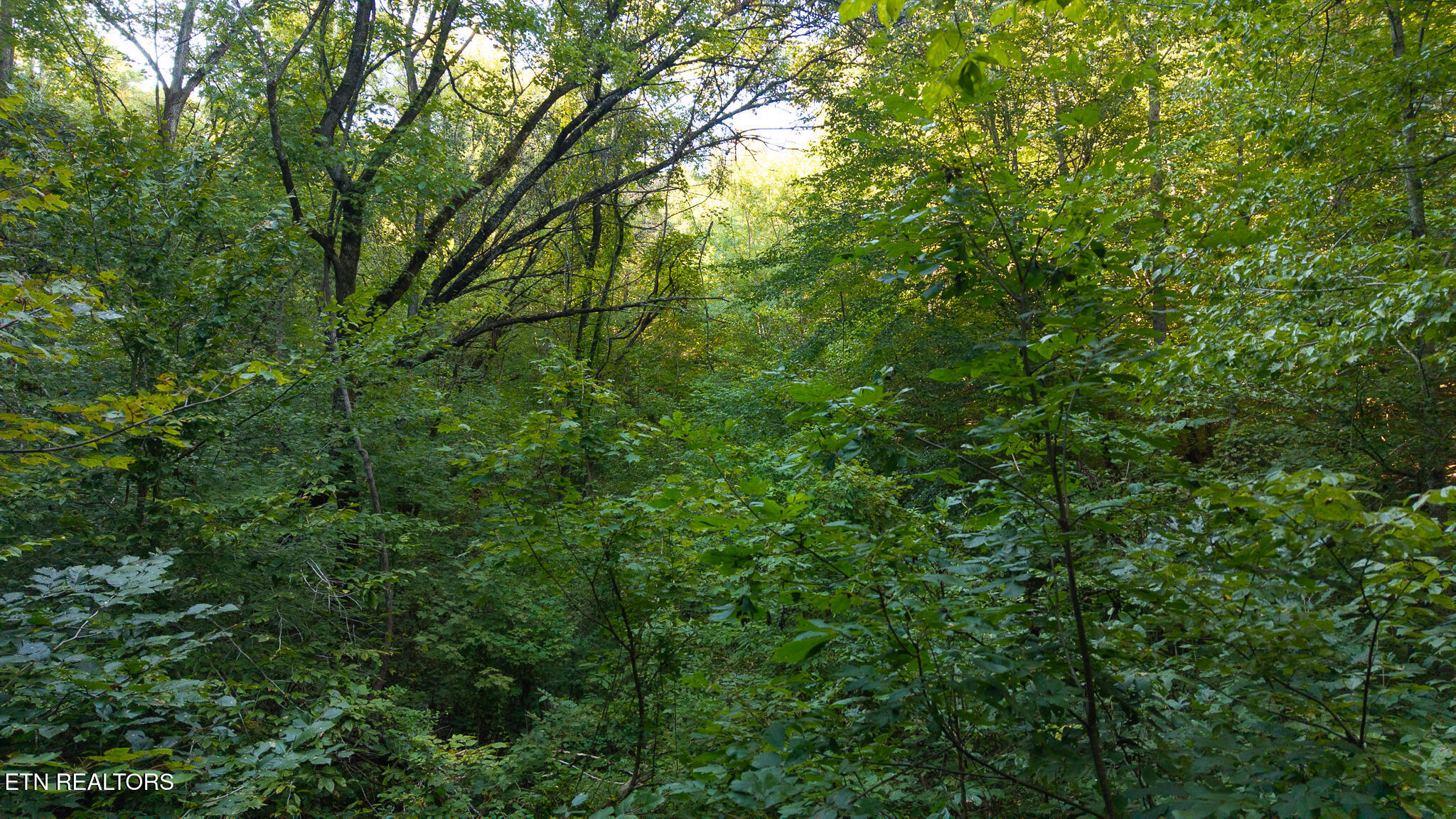 32.38 Ac Off Panther Creek Road Sneedville TN 37869