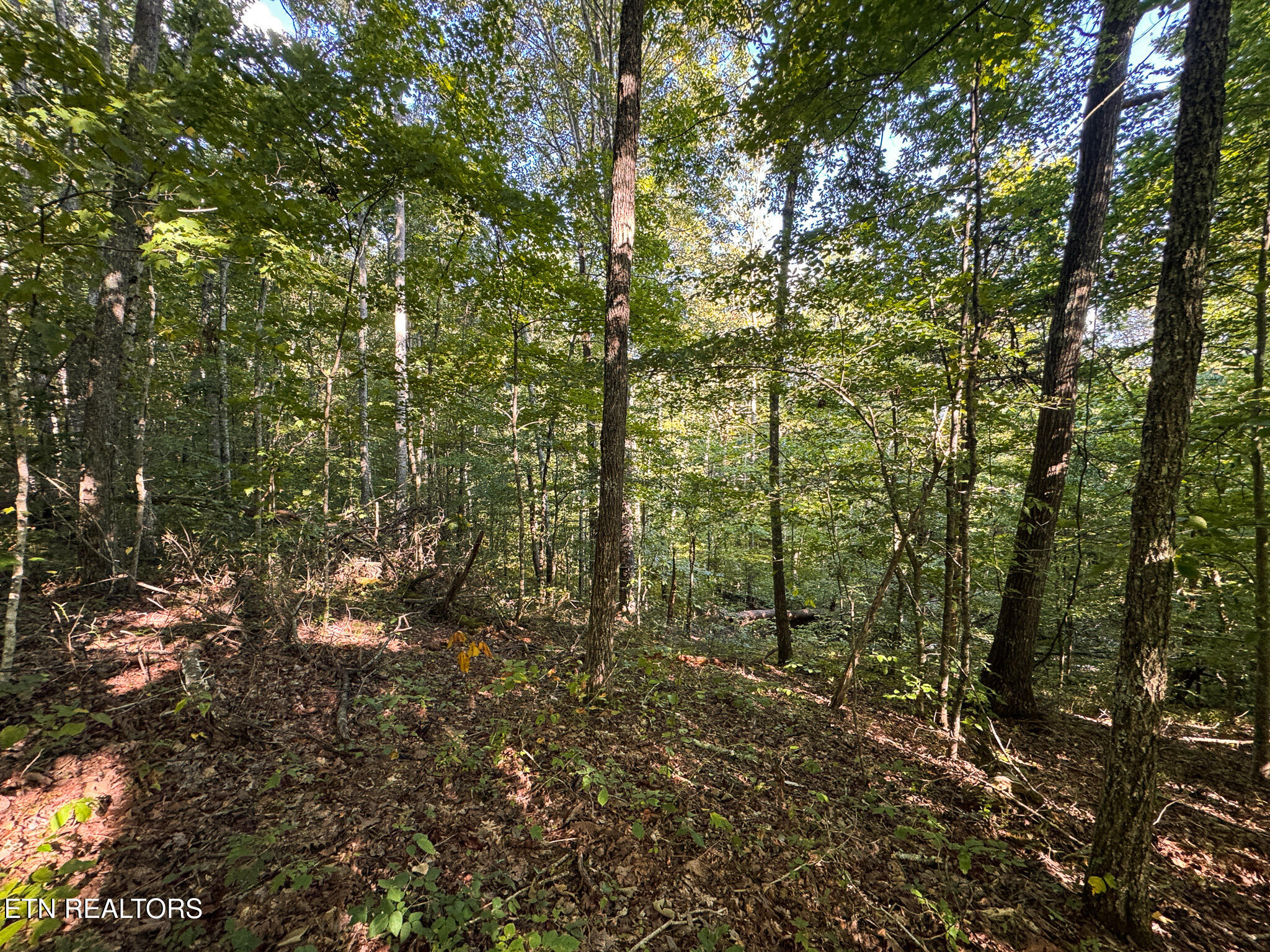 32.38 Ac Off Panther Creek Road Sneedville TN 37869