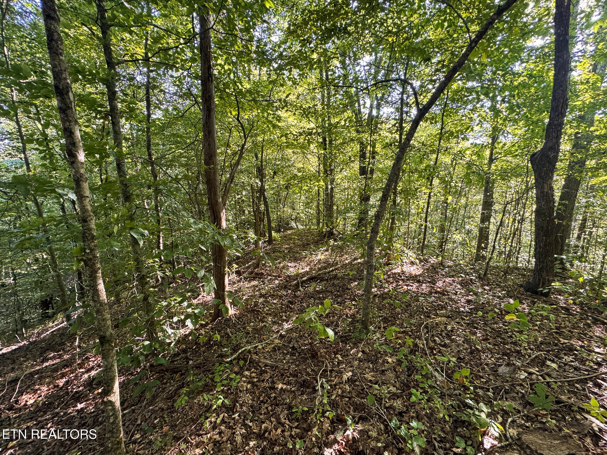 32.38 Ac Off Panther Creek Road Sneedville TN 37869