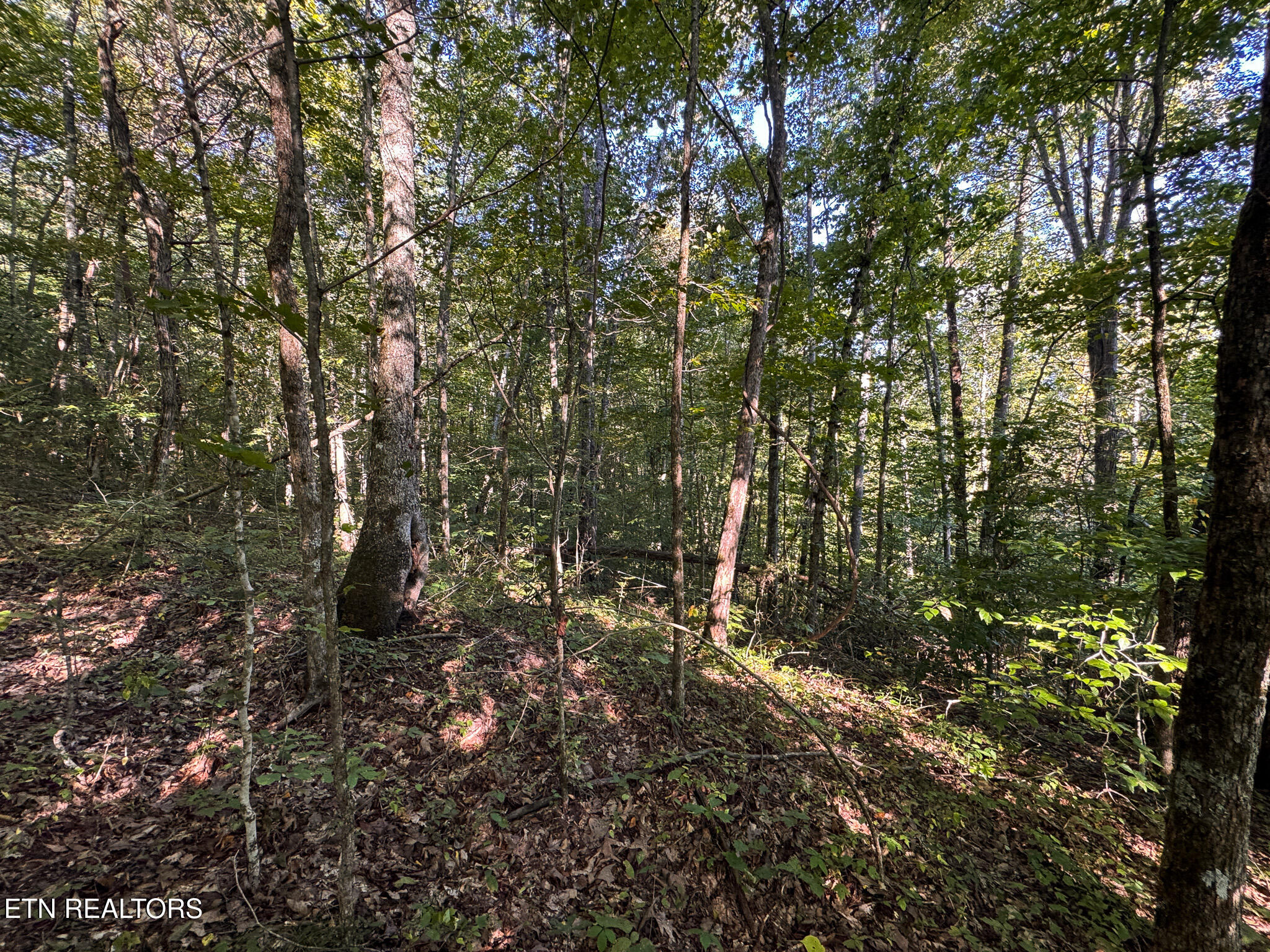 32.38 Ac Off Panther Creek Road Sneedville TN 37869