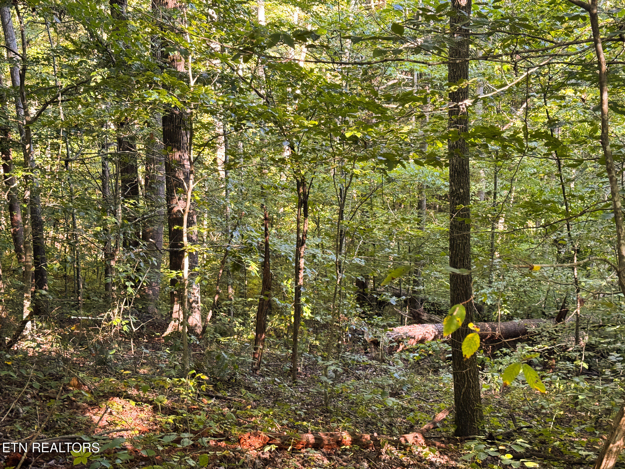 32.38 Ac Off Panther Creek Road Sneedville TN 37869
