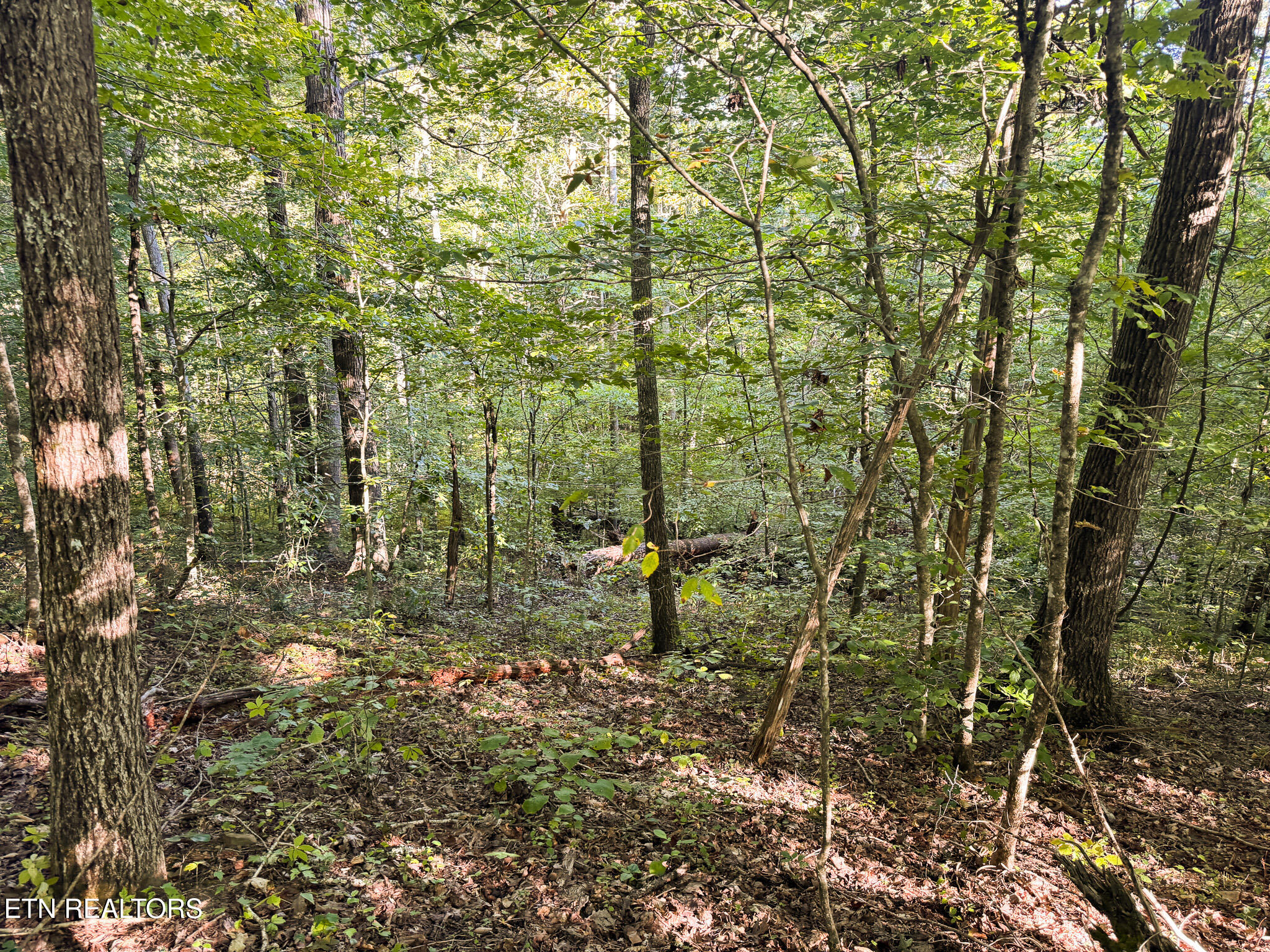 32.38 Ac Off Panther Creek Road Sneedville TN 37869