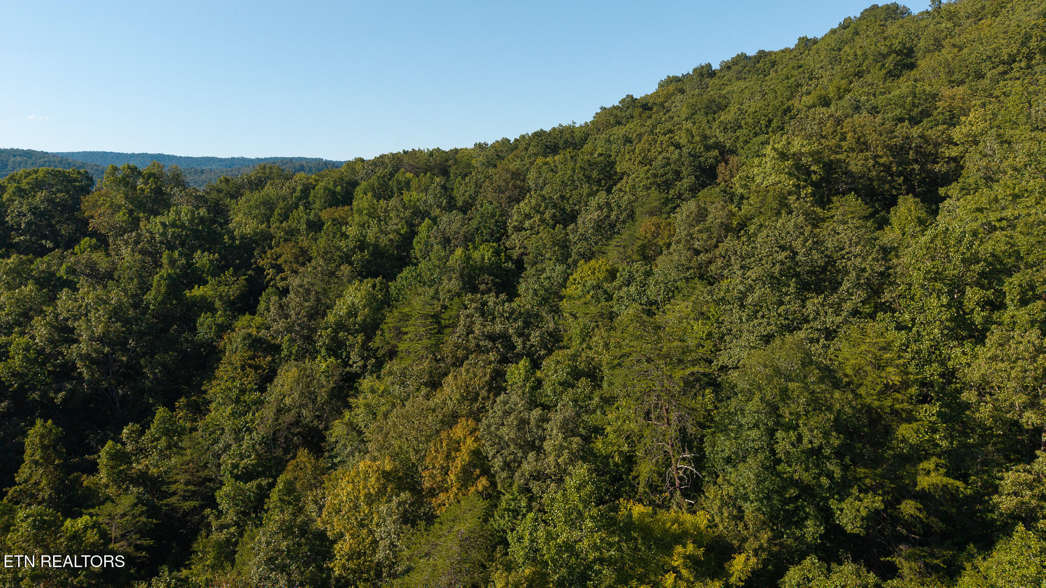 32.38 Ac Off Panther Creek Road Sneedville TN 37869