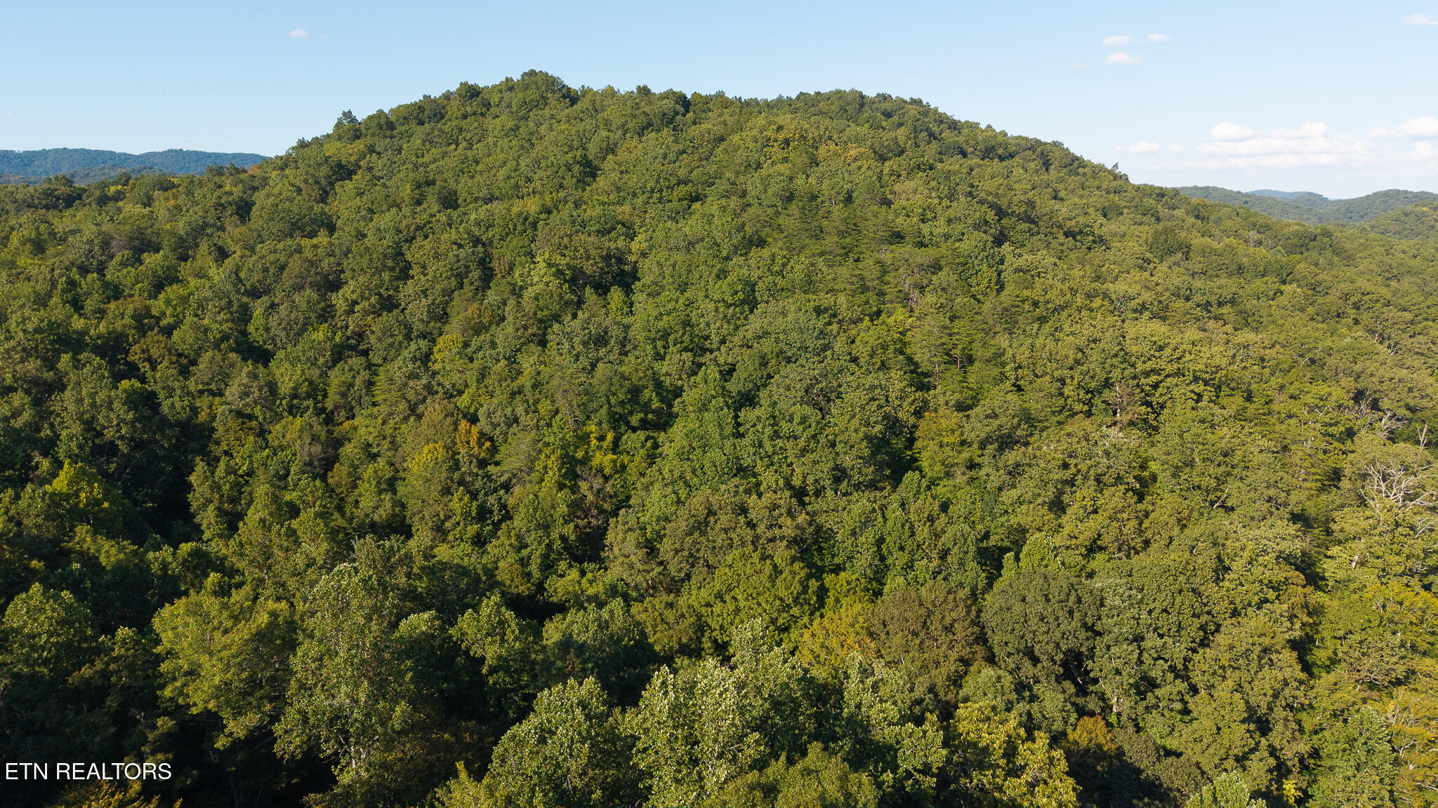 32.38 Ac Off Panther Creek Road Sneedville TN 37869
