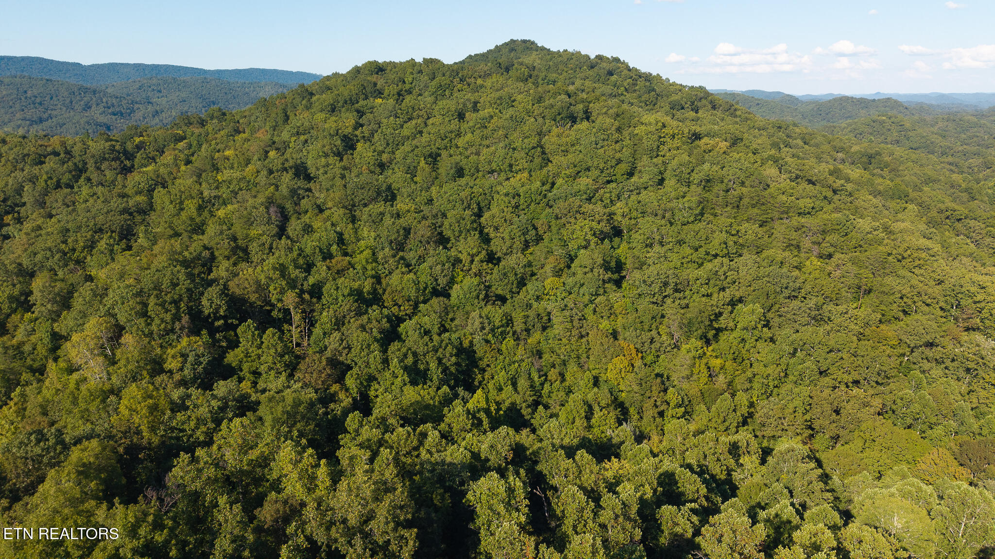 32.38 Ac Off Panther Creek Road Sneedville TN 37869