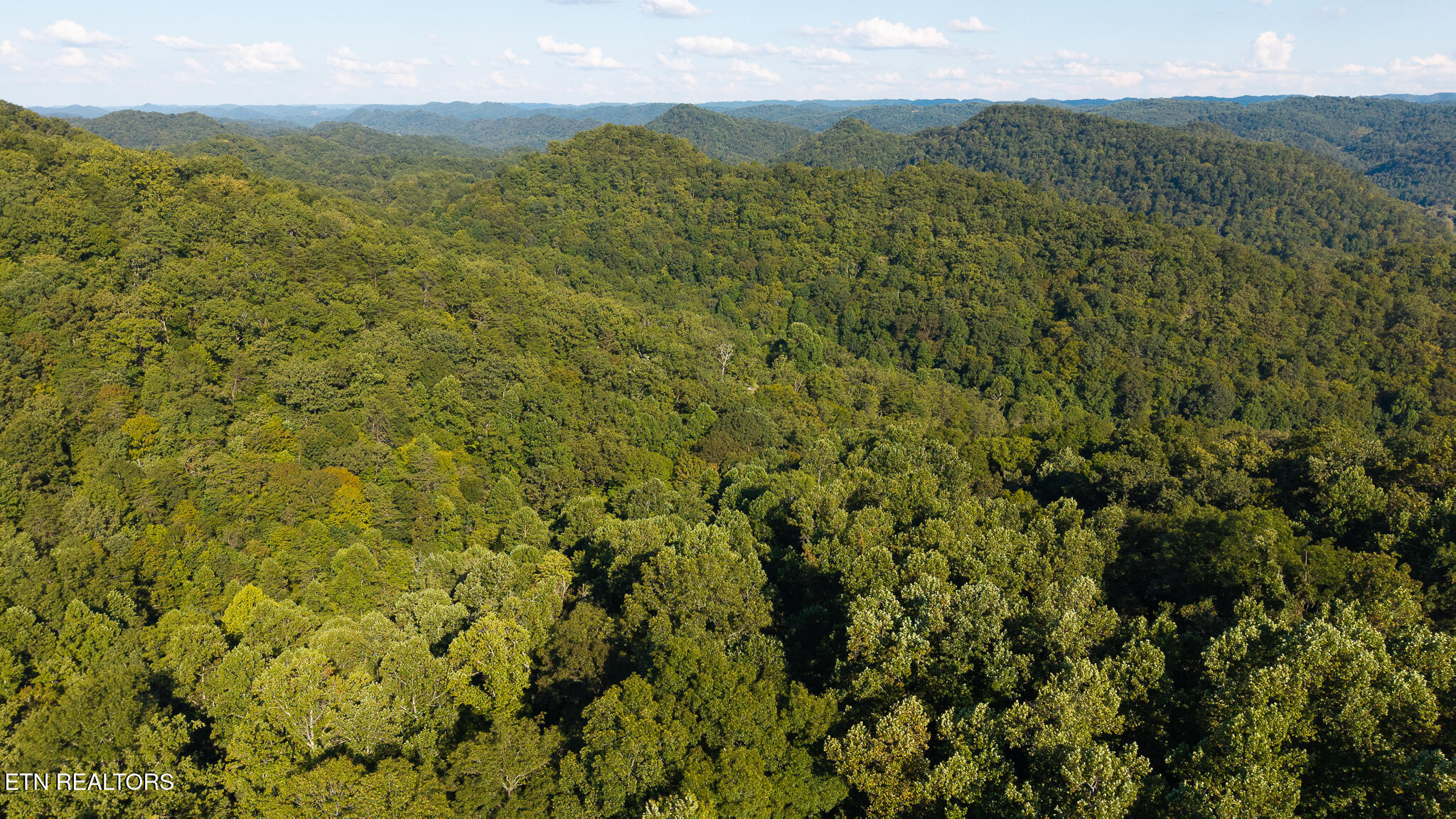 32.38 Ac Off Panther Creek Road Sneedville TN 37869
