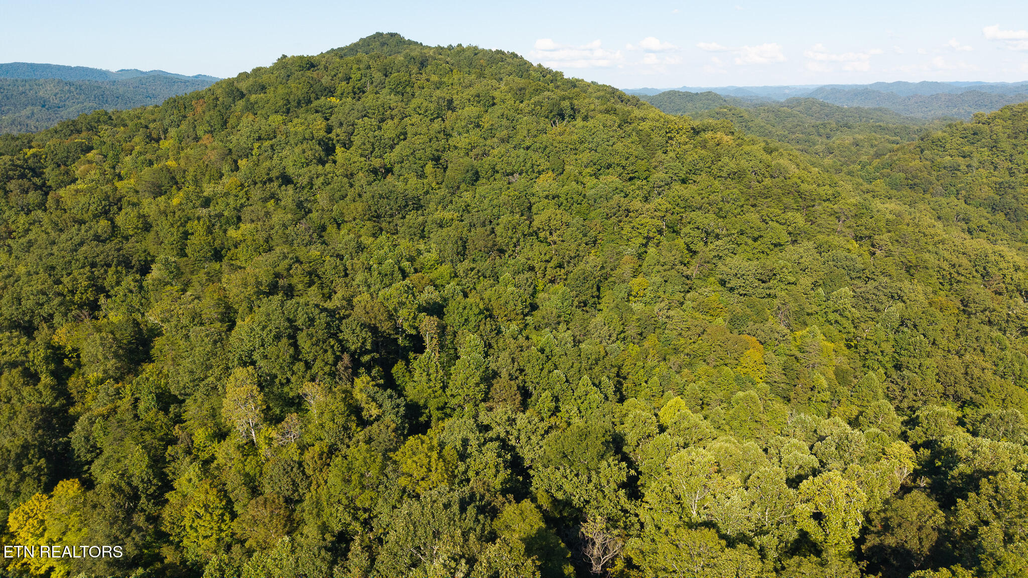 32.38 Ac Off Panther Creek Road Sneedville TN 37869