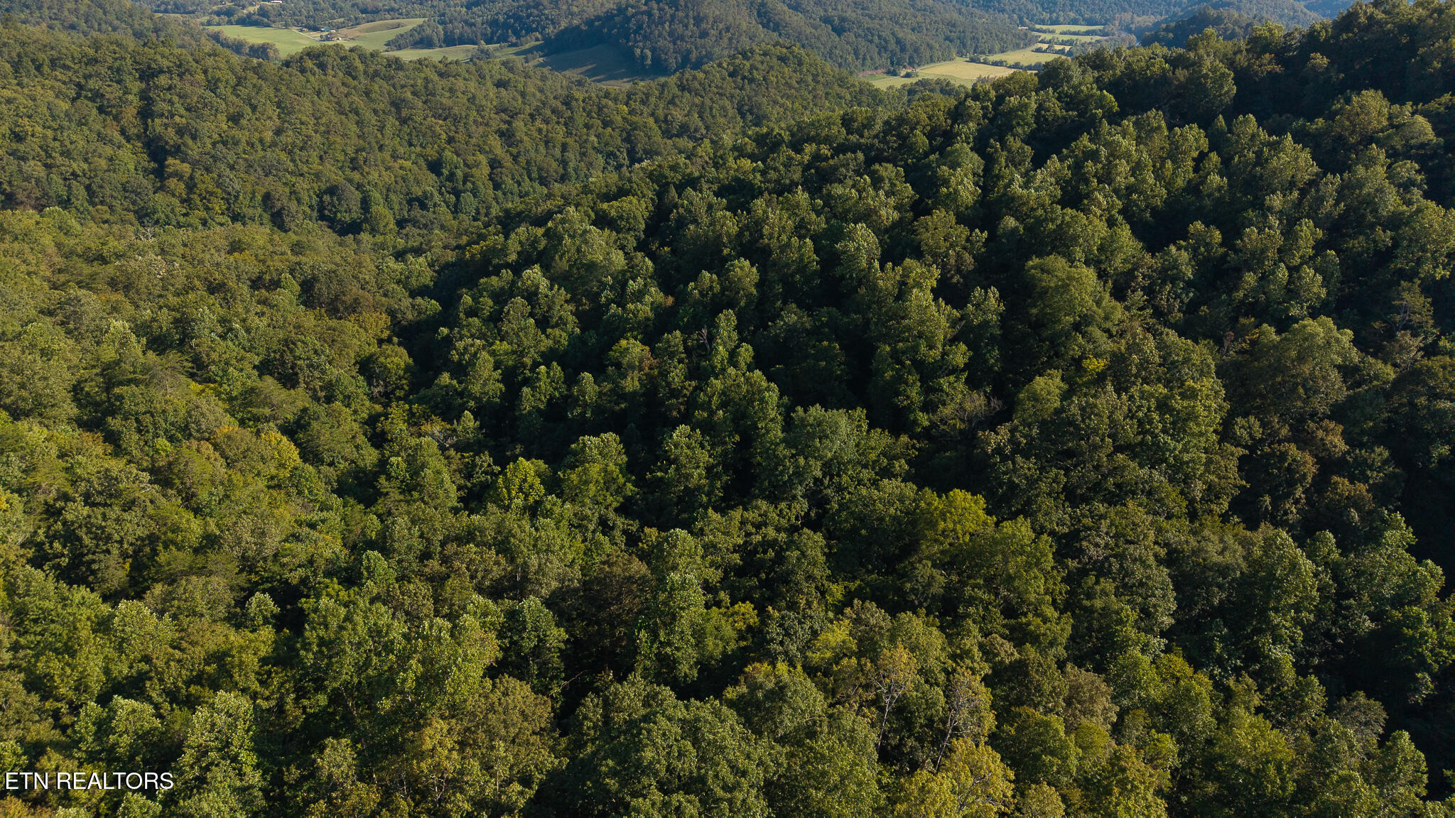 32.38 Ac Off Panther Creek Road Sneedville TN 37869