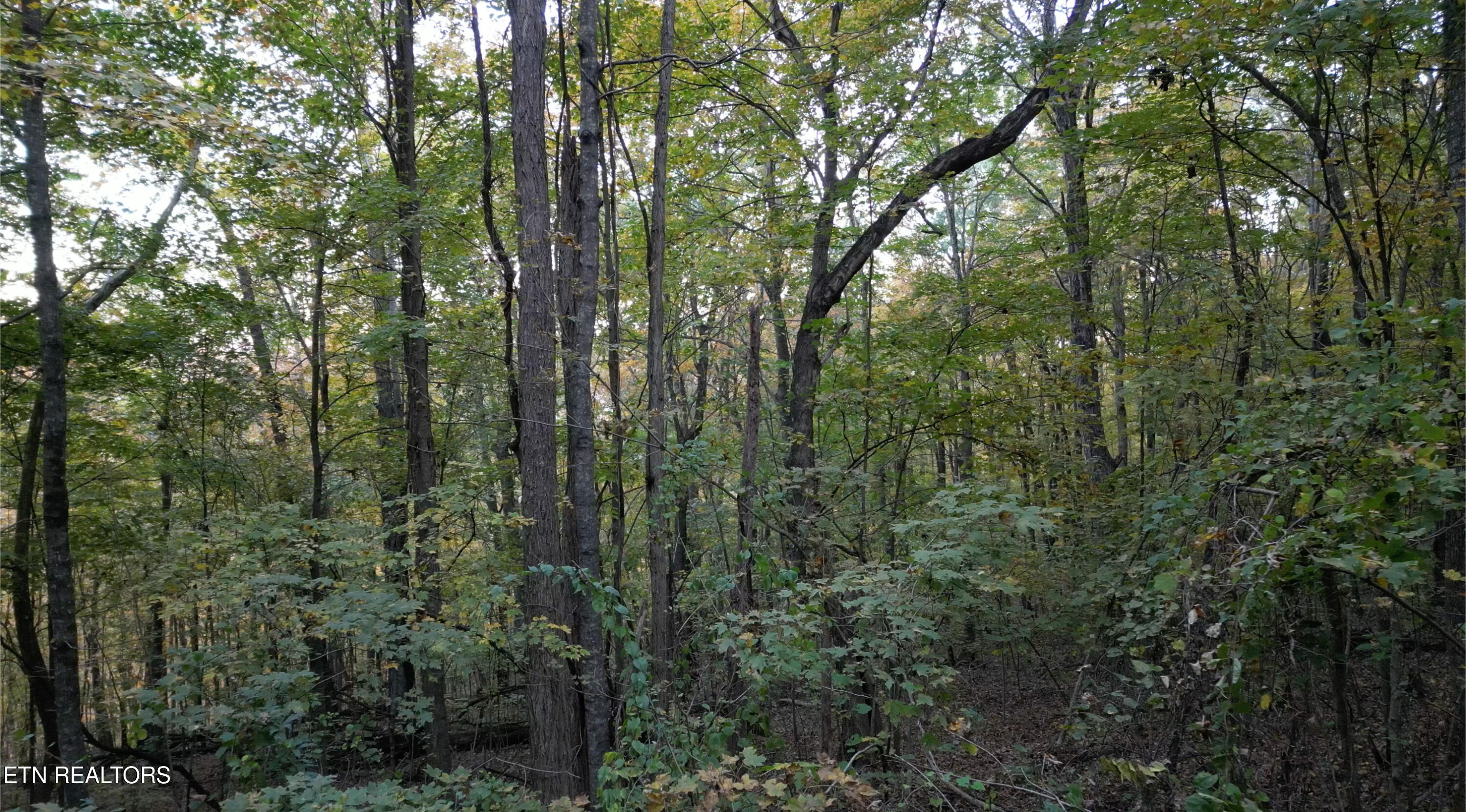 Tbd Turners Bend Road Mcminnville TN 37110